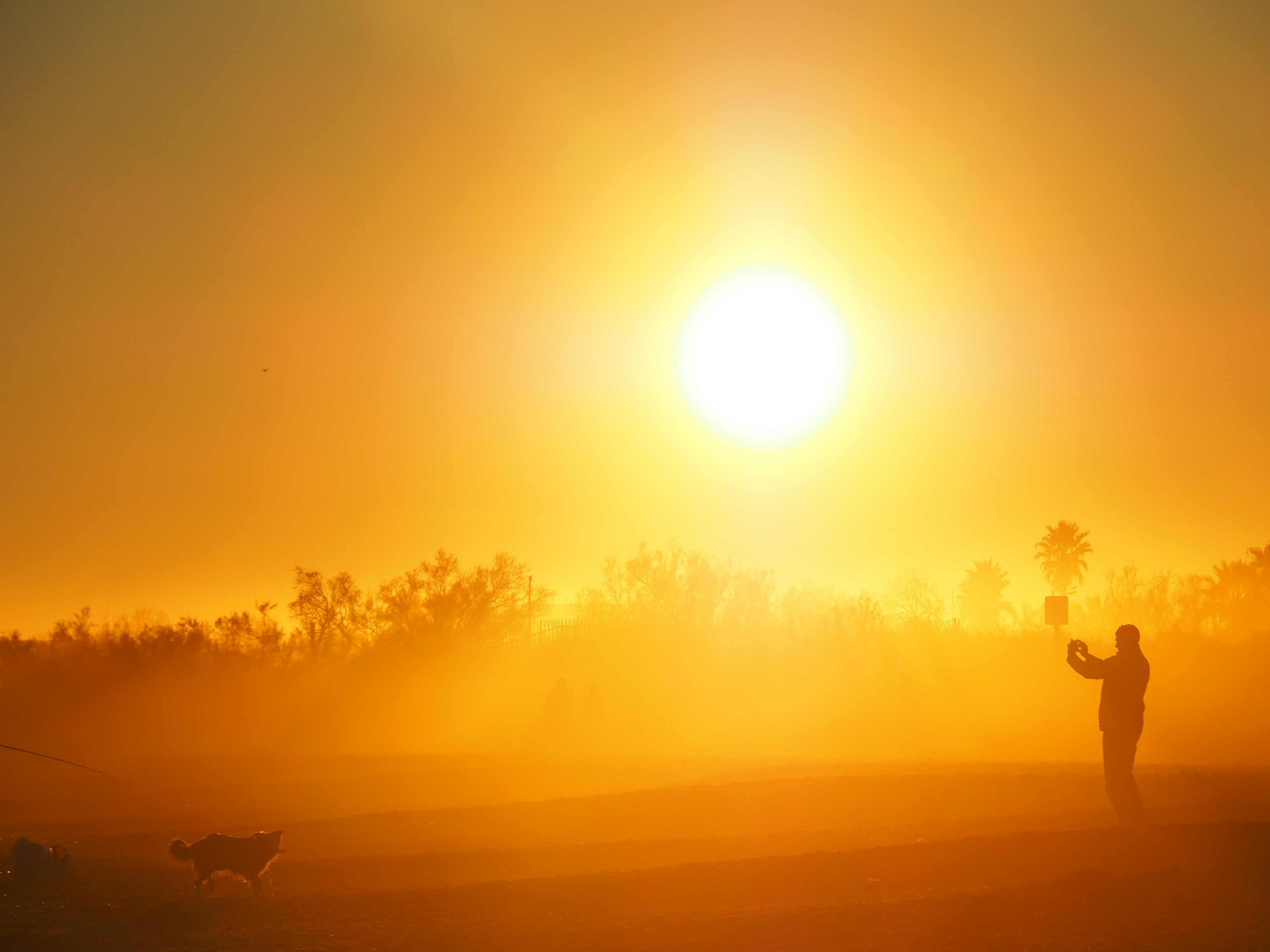 Un coureur s'étirant au lever du soleil, symbolisant le bien-être et la performance sportive.