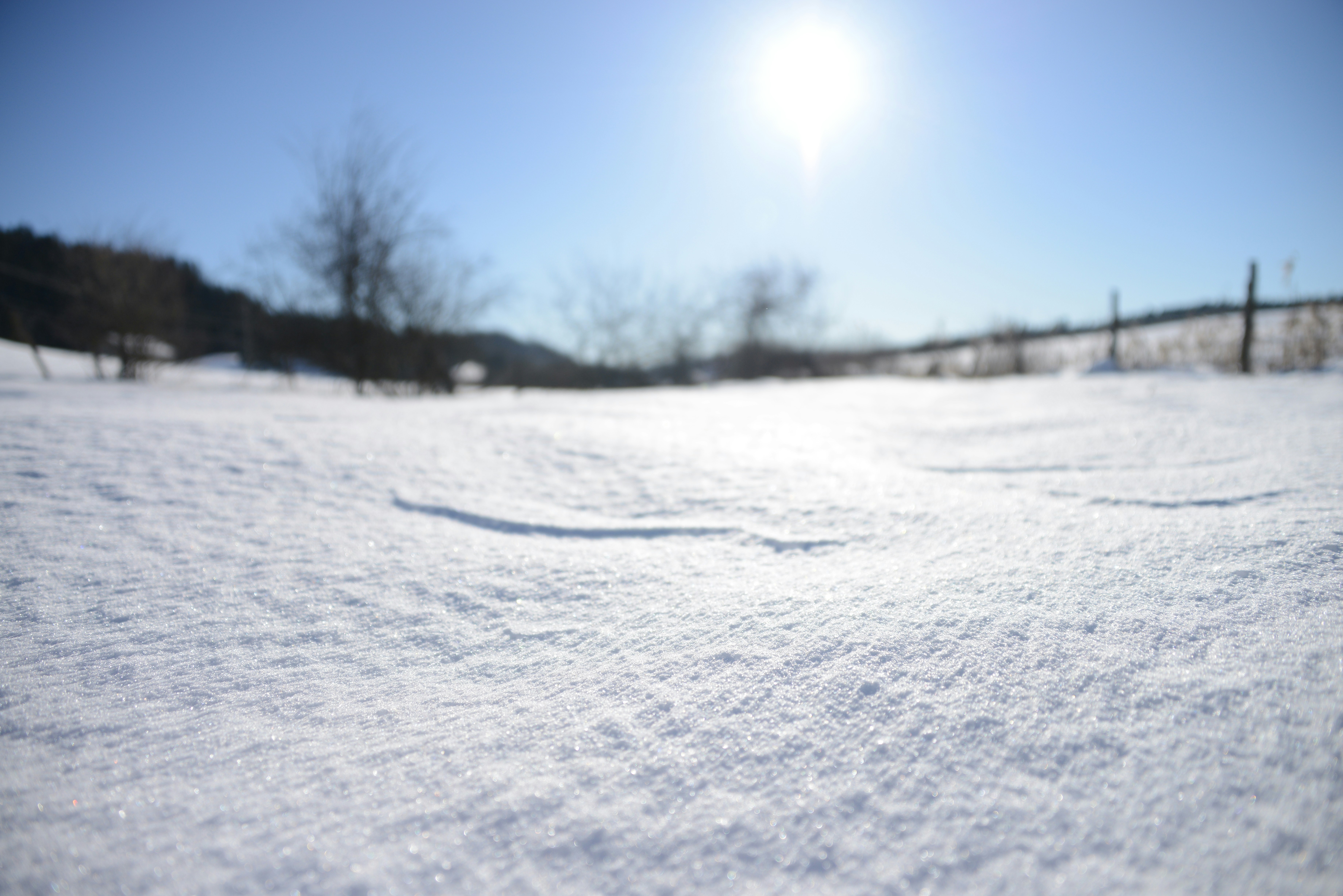 Un paysage hivernal serein dans la campagne vaudoise, avec des champs et des collines légèrement saupoudrés de neige sous un ciel doux et nuageux. Quelques arbres nus se dessinent sur l'horizon.