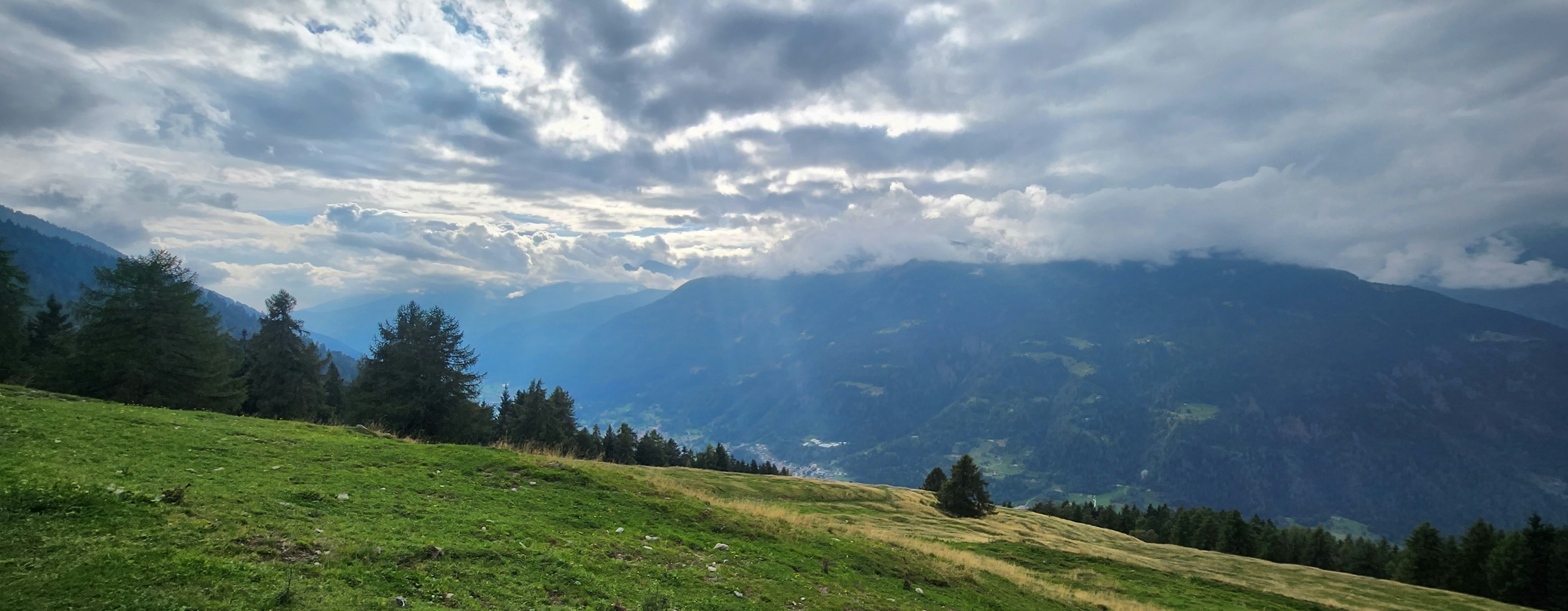 Un paysage verdoyant et vallonné du Val-de-Travers en Suisse, évoquant la production locale et la nature.