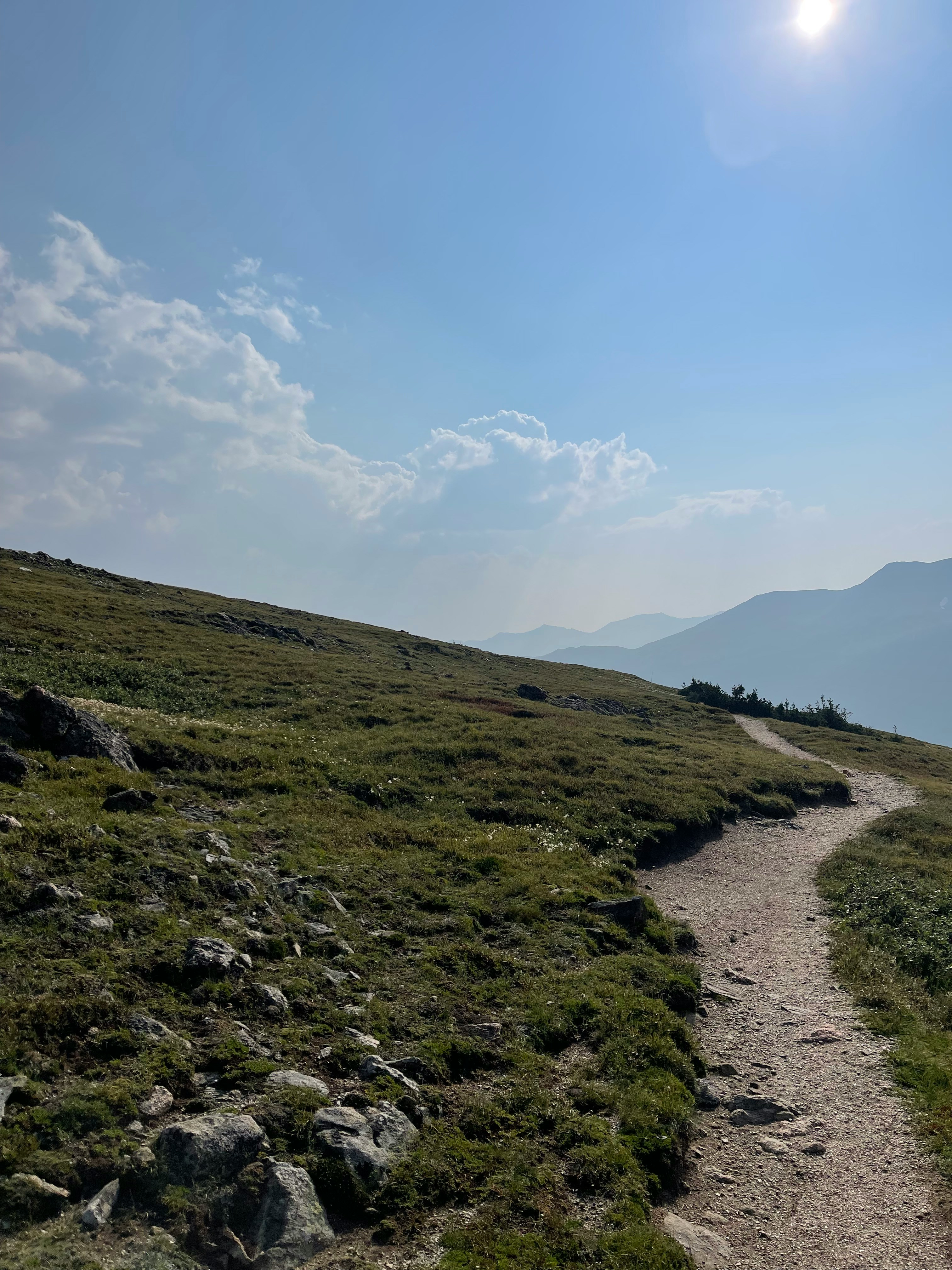 Un sentier de randonnée clair, bien balisé, qui serpente au milieu de montagnes suisses verdoyantes sous un ciel bleu. L'image parfaite d'un parcours clair et sans embûches.