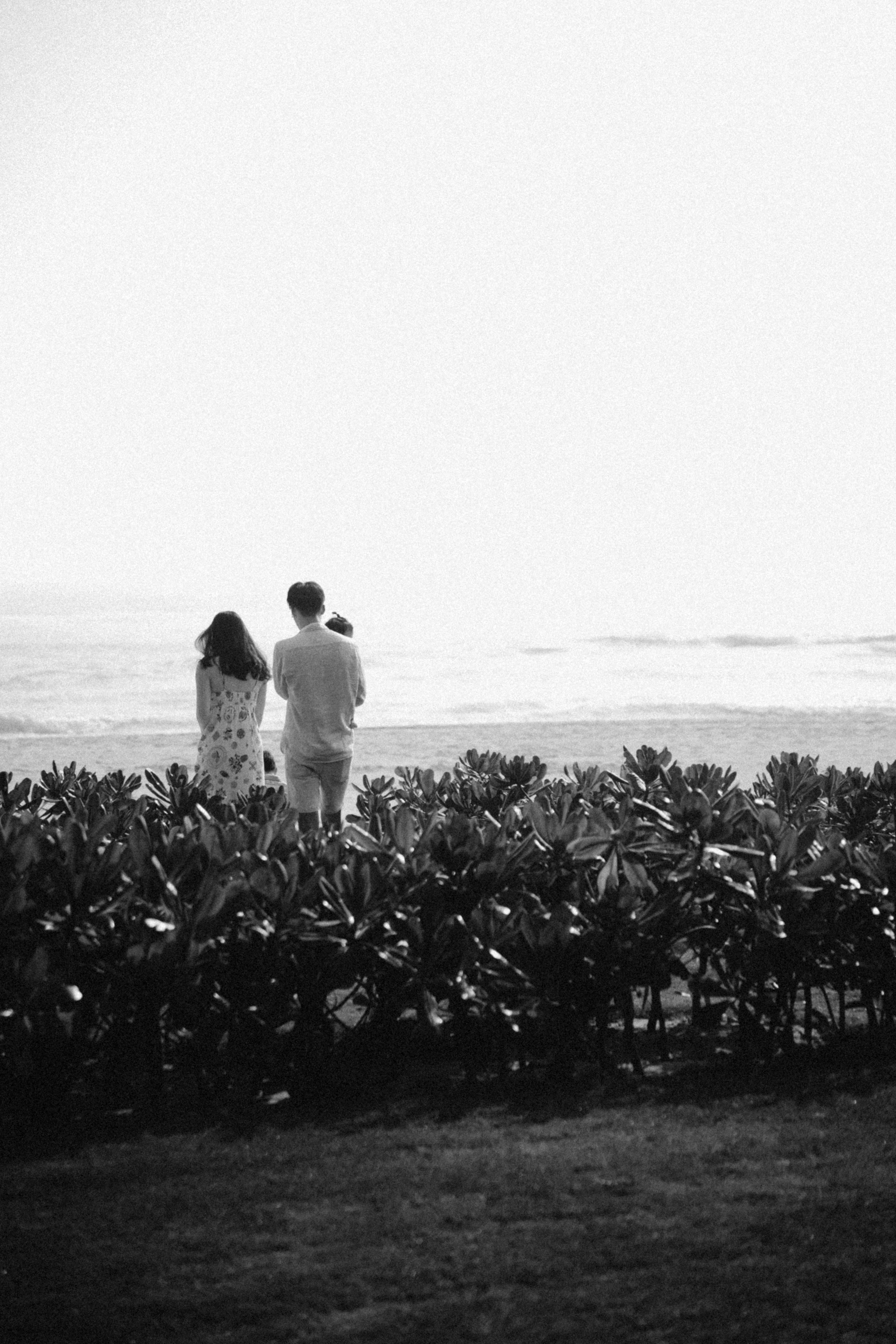 Un album de mariage élégant ouvert sur une page, montrant une photo en pleine page d'un couple de mariés.