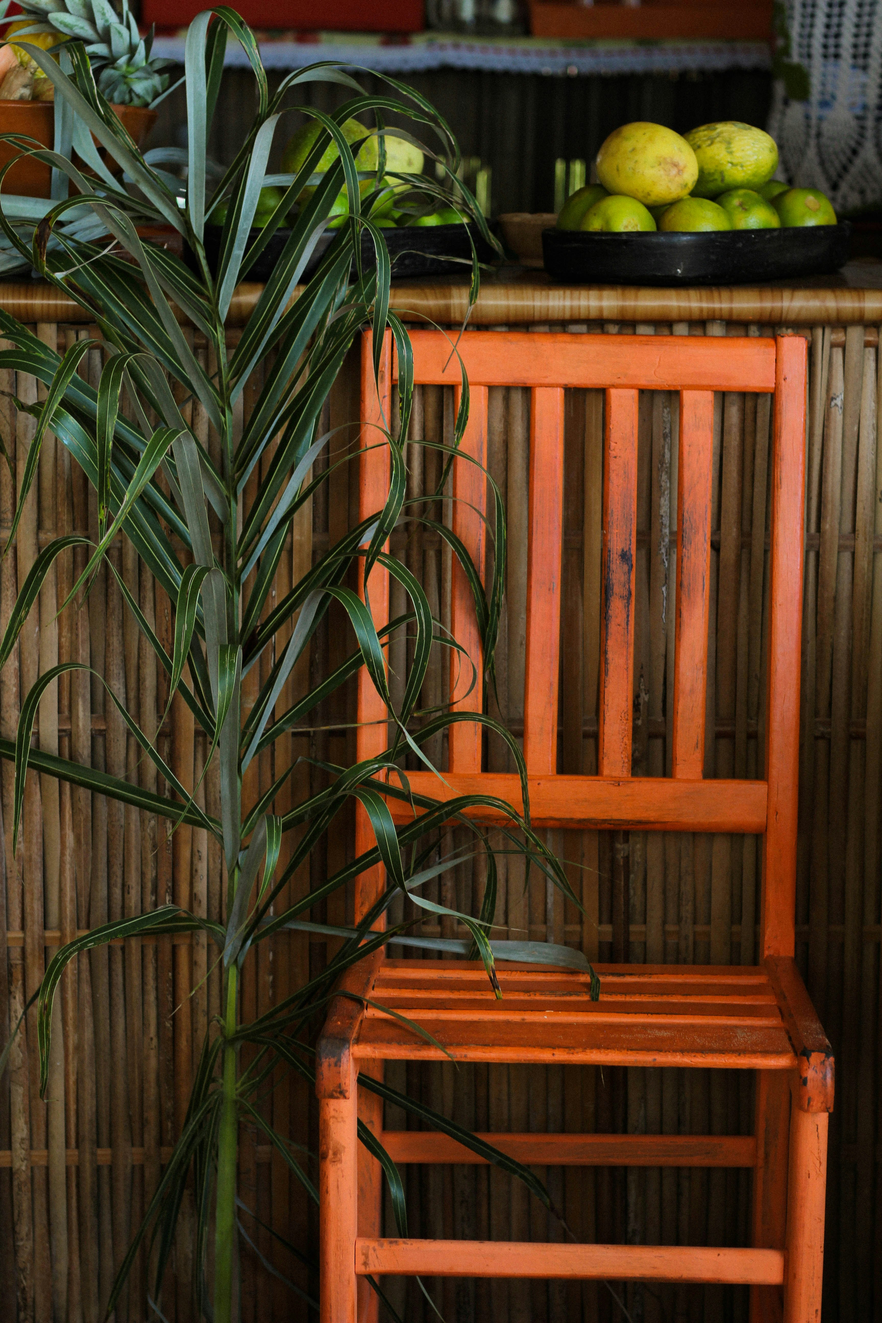 Un coin de salon avec un fauteuil en rotin, un panier en jonc de mer contenant une plante verte, et une étagère en bois clair.