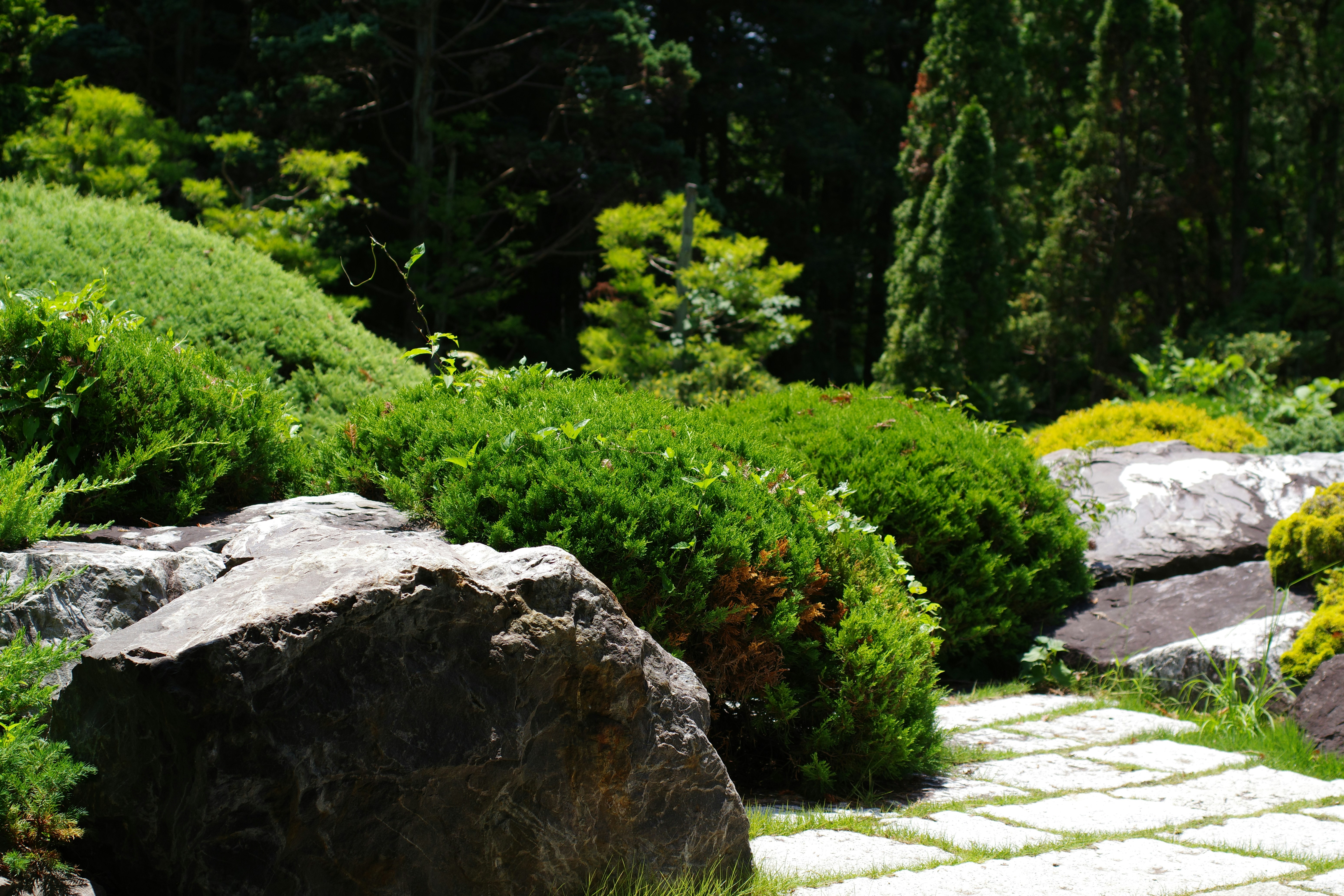 Une terrasse de jardin élégante avec un dallage en pierre naturelle de couleur beige, entourée de verdure luxuriante.