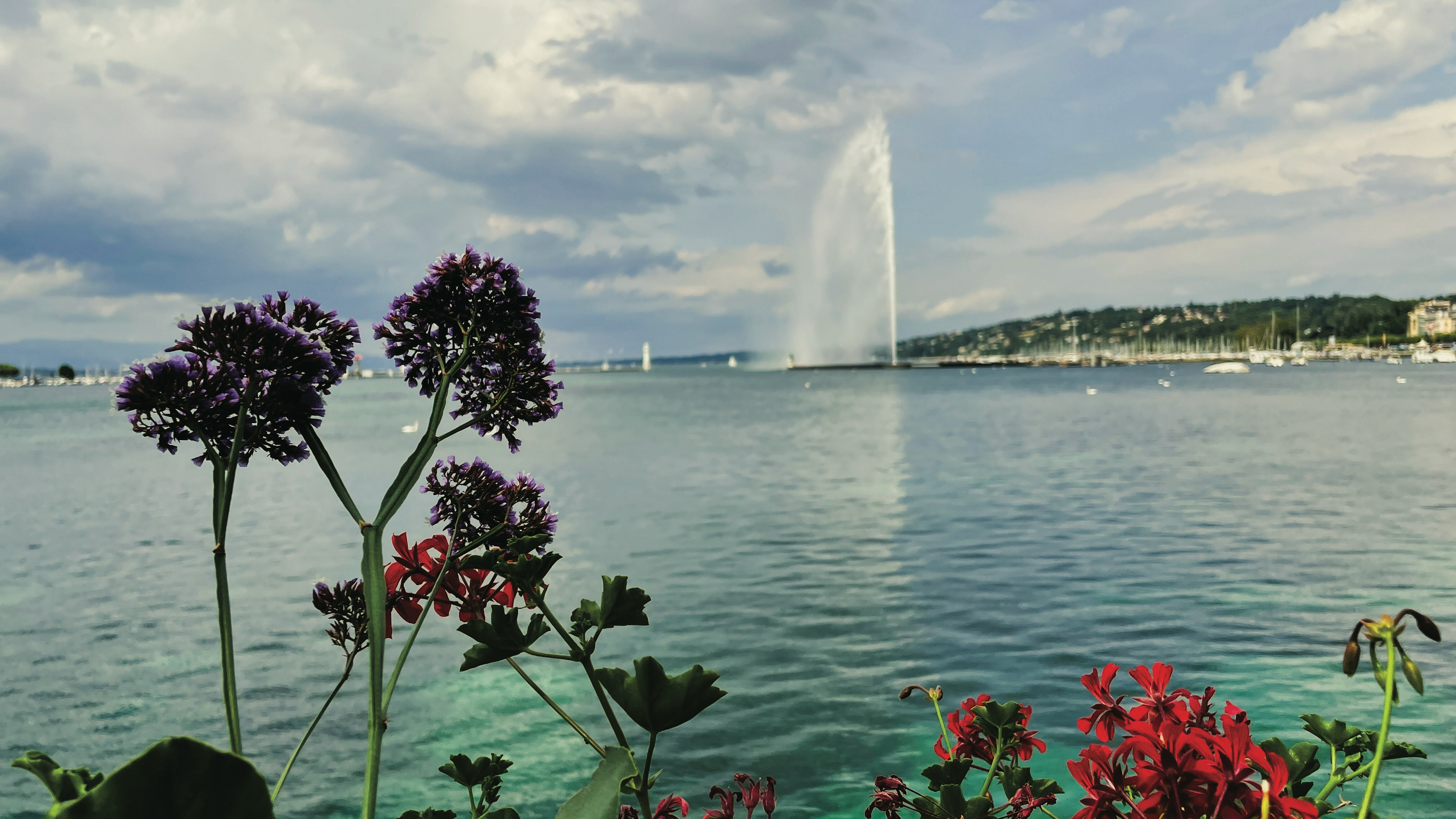 Vue panoramique sur le lac Léman et la ville de Genève, avec le Jet d'Eau en arrière-plan, symbolisant le marché suisse.