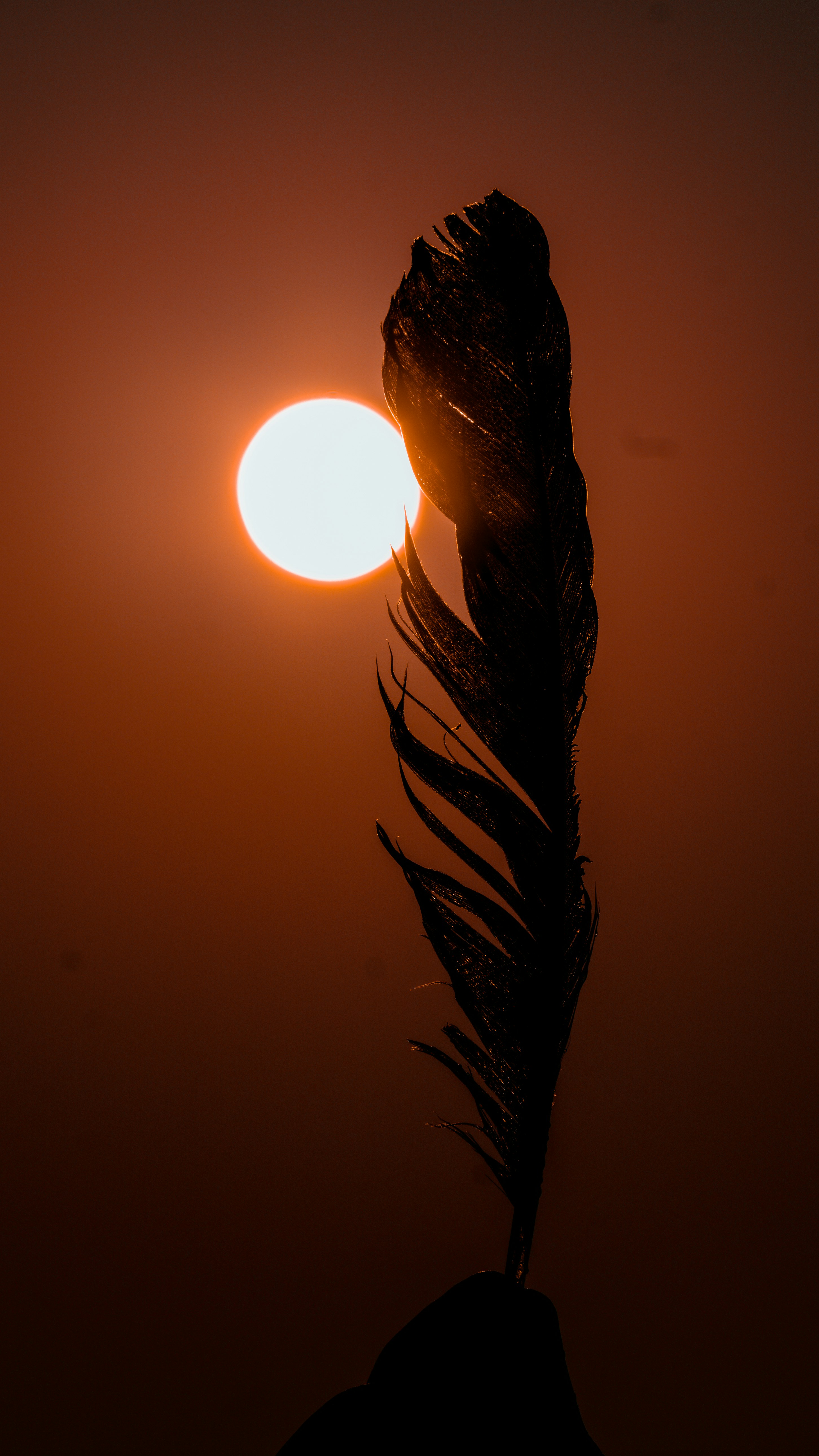 Une vue rapprochée d