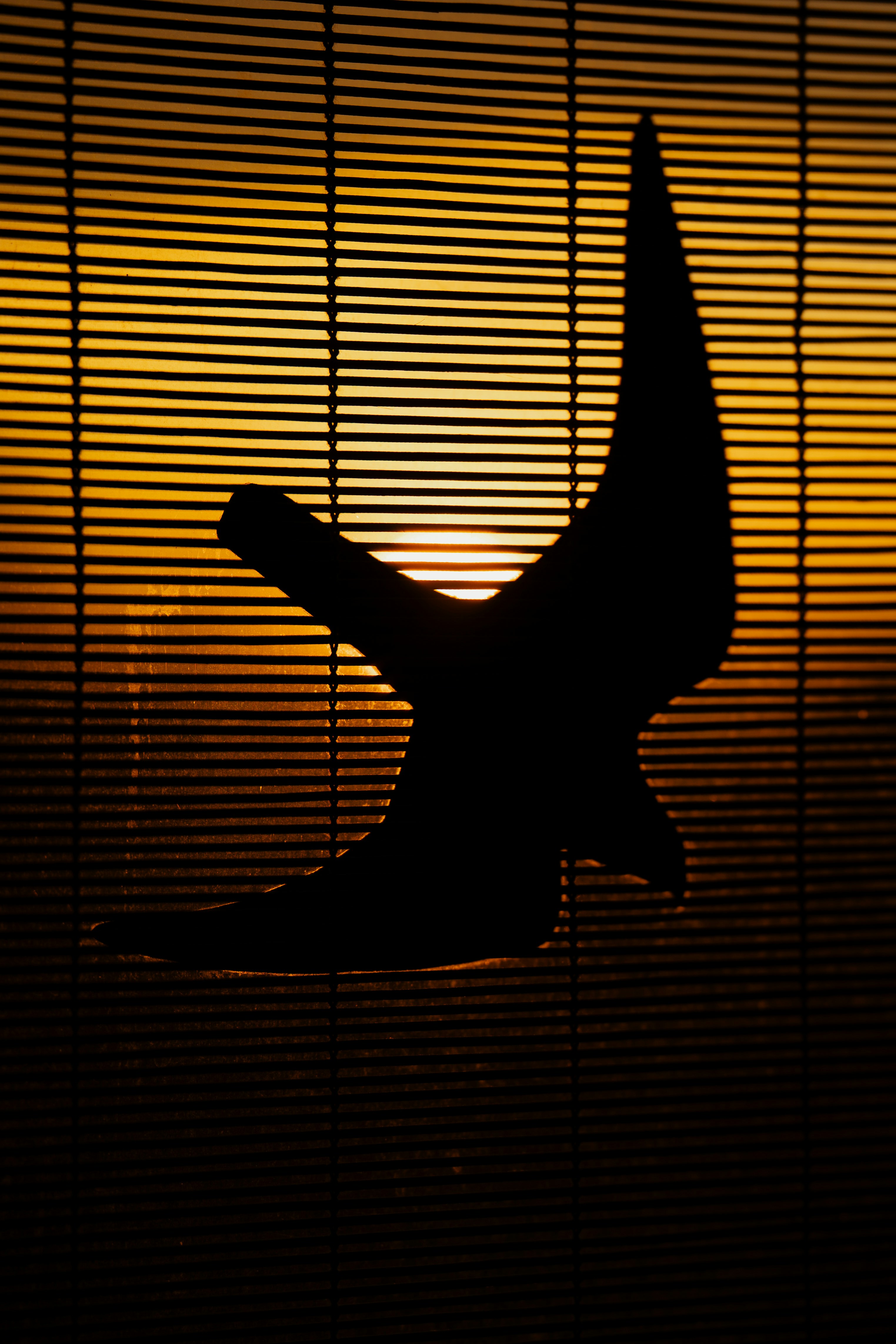 A dancer stretching on the floor of a studio, silhouetted against a large window.