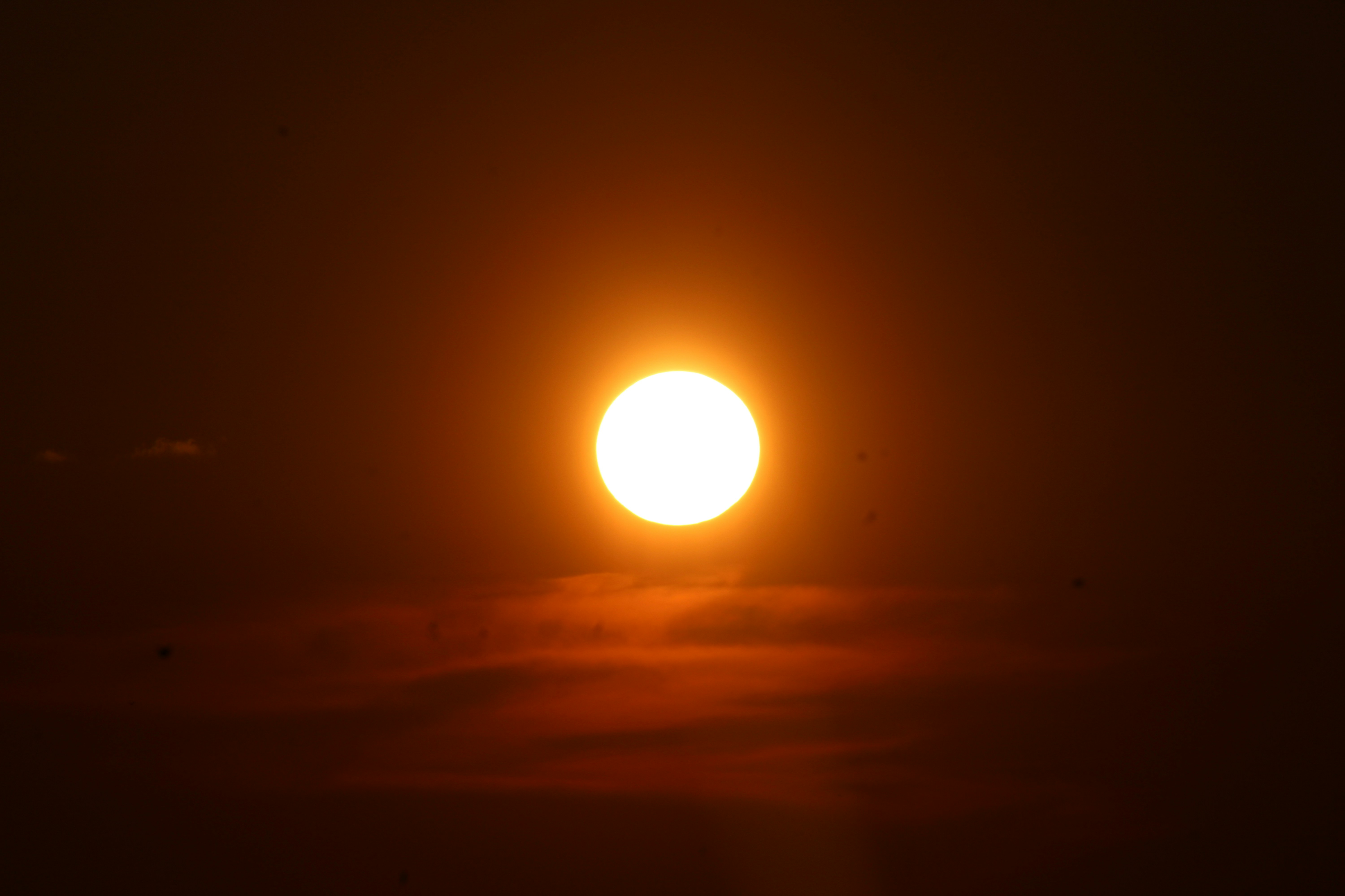 Un champ de tournesols tournés vers le soleil, symbolisant la croissance, la vitalité et l'orientation vers le positif.