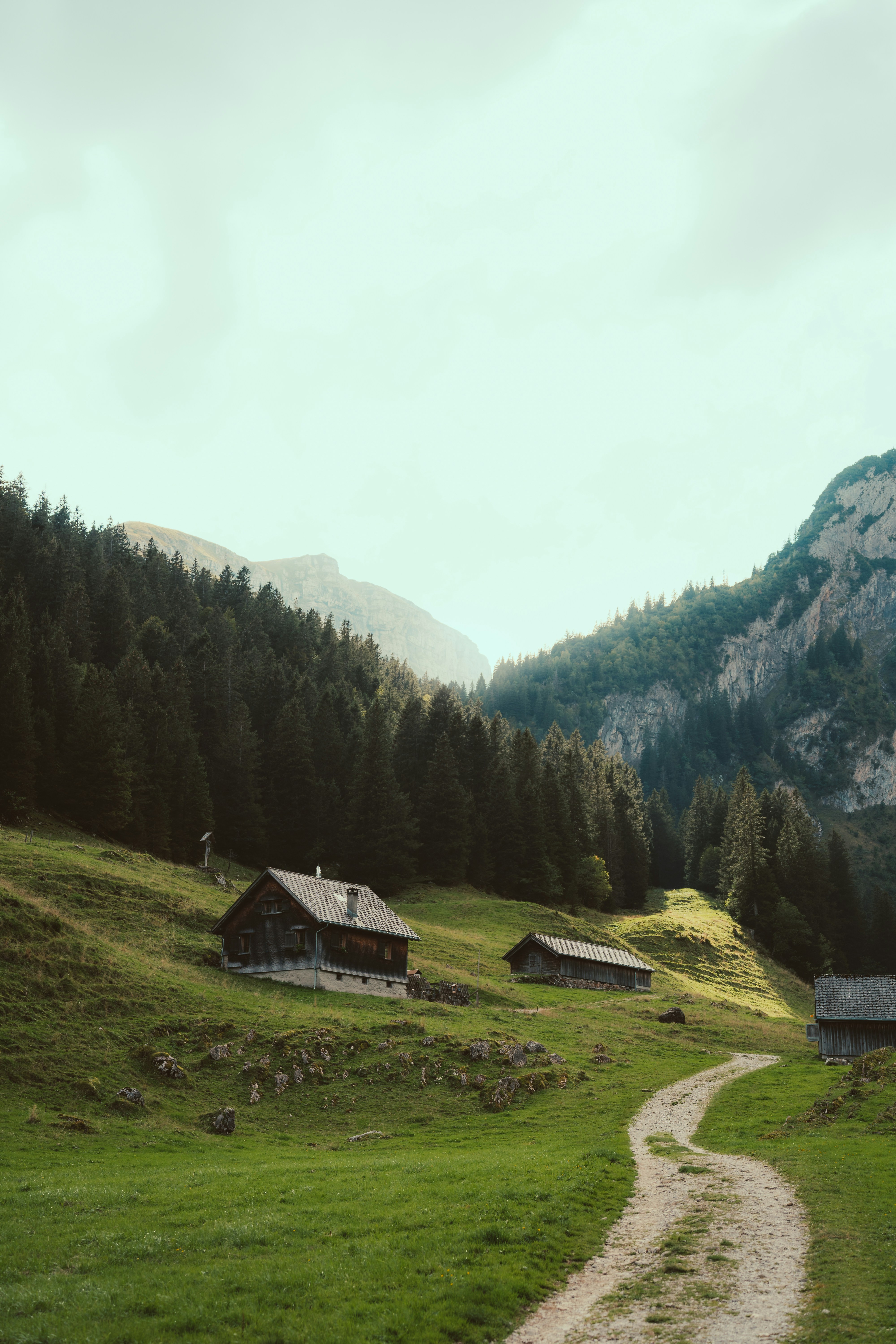 Une route de montagne sinueuse dans les Alpes suisses, sous un ciel bleu clair. On aperçoit des sommets enneigés au loin.