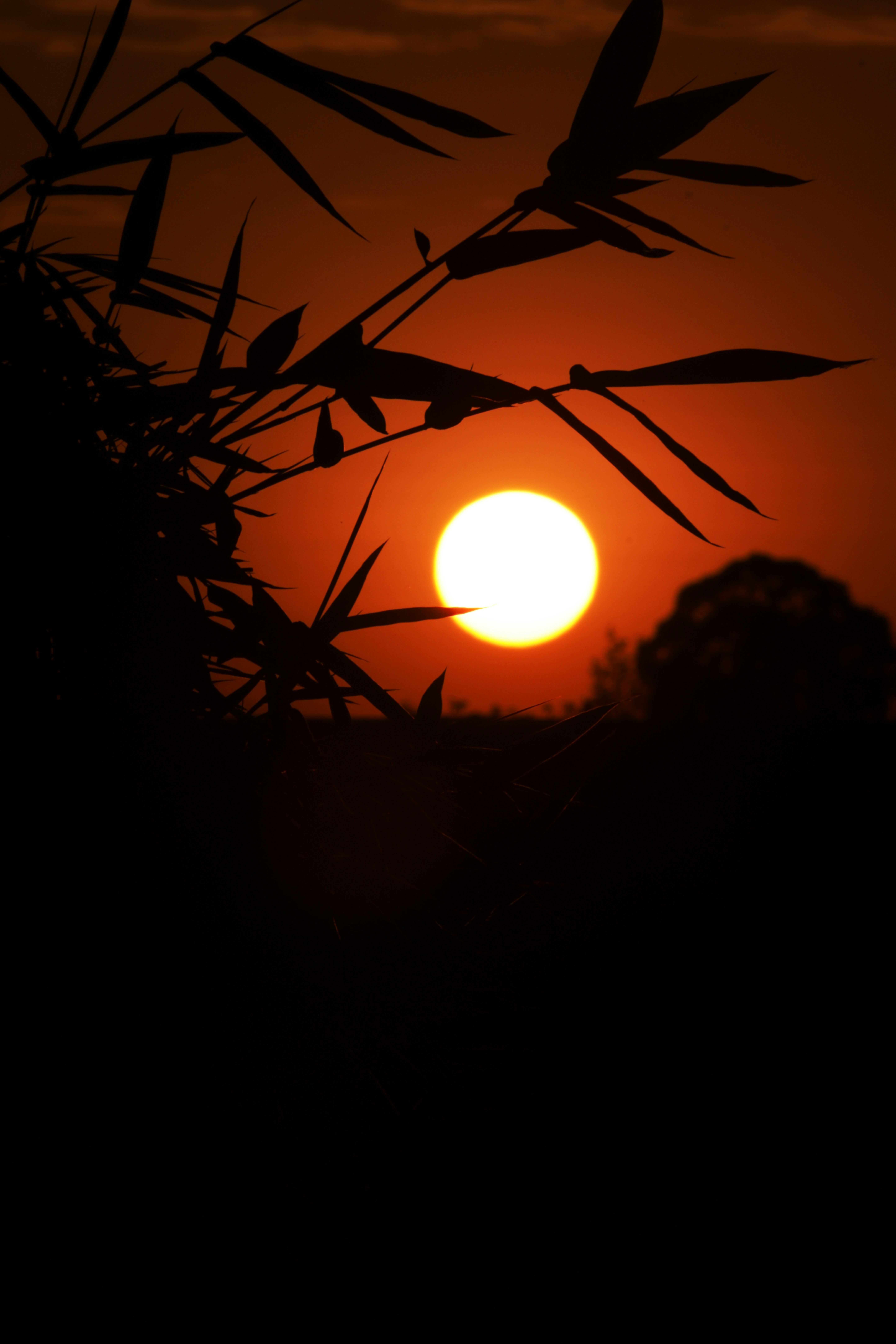Un gros plan sur un store enrouleur Duo Jour Nuit, montrant les bandes alternées de tissu opaque et transparent.