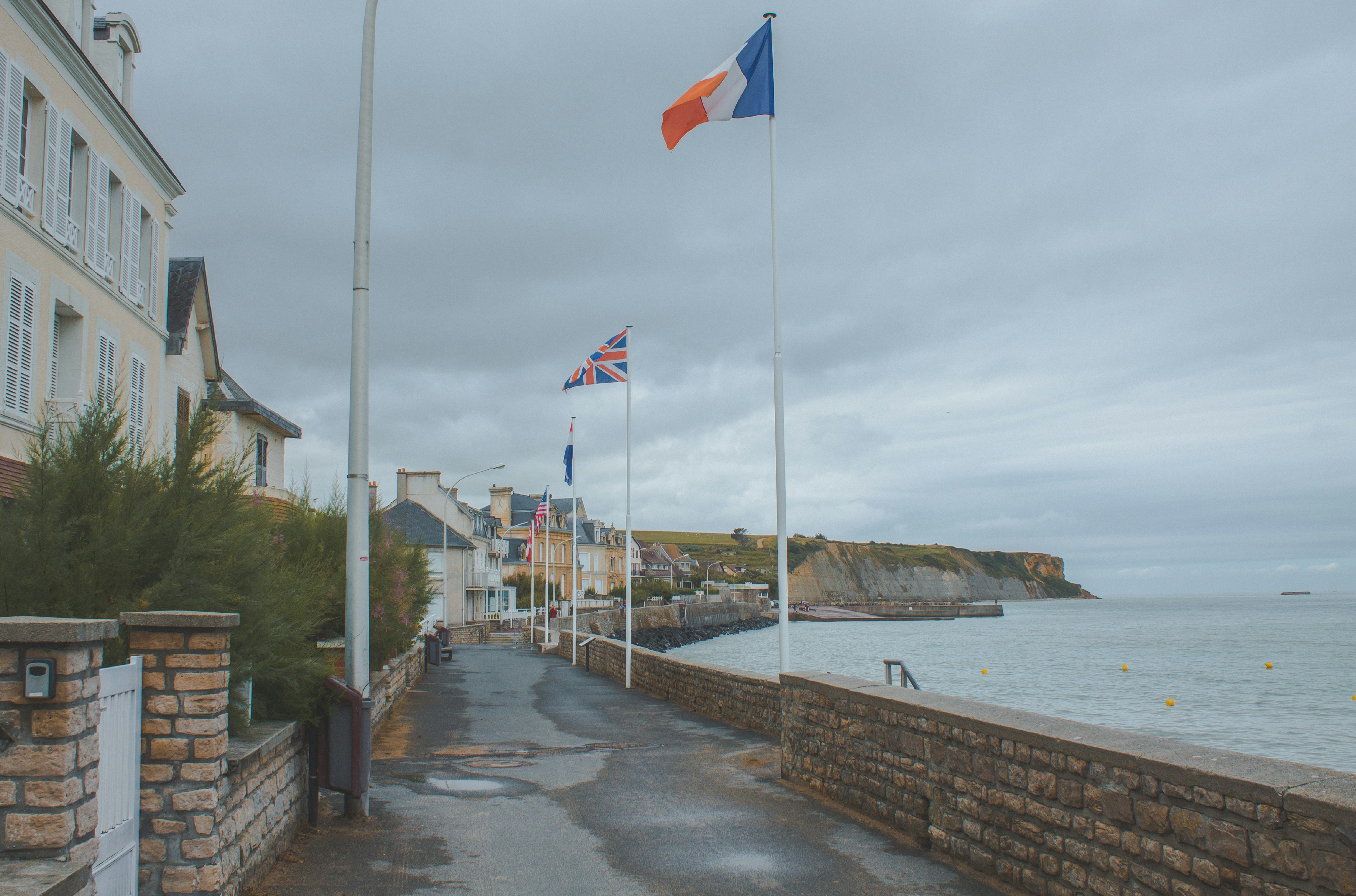 Un verger de pommiers en fleurs en Normandie, avec des rangées bien alignées qui nécessitent un équipement agricole spécifique.