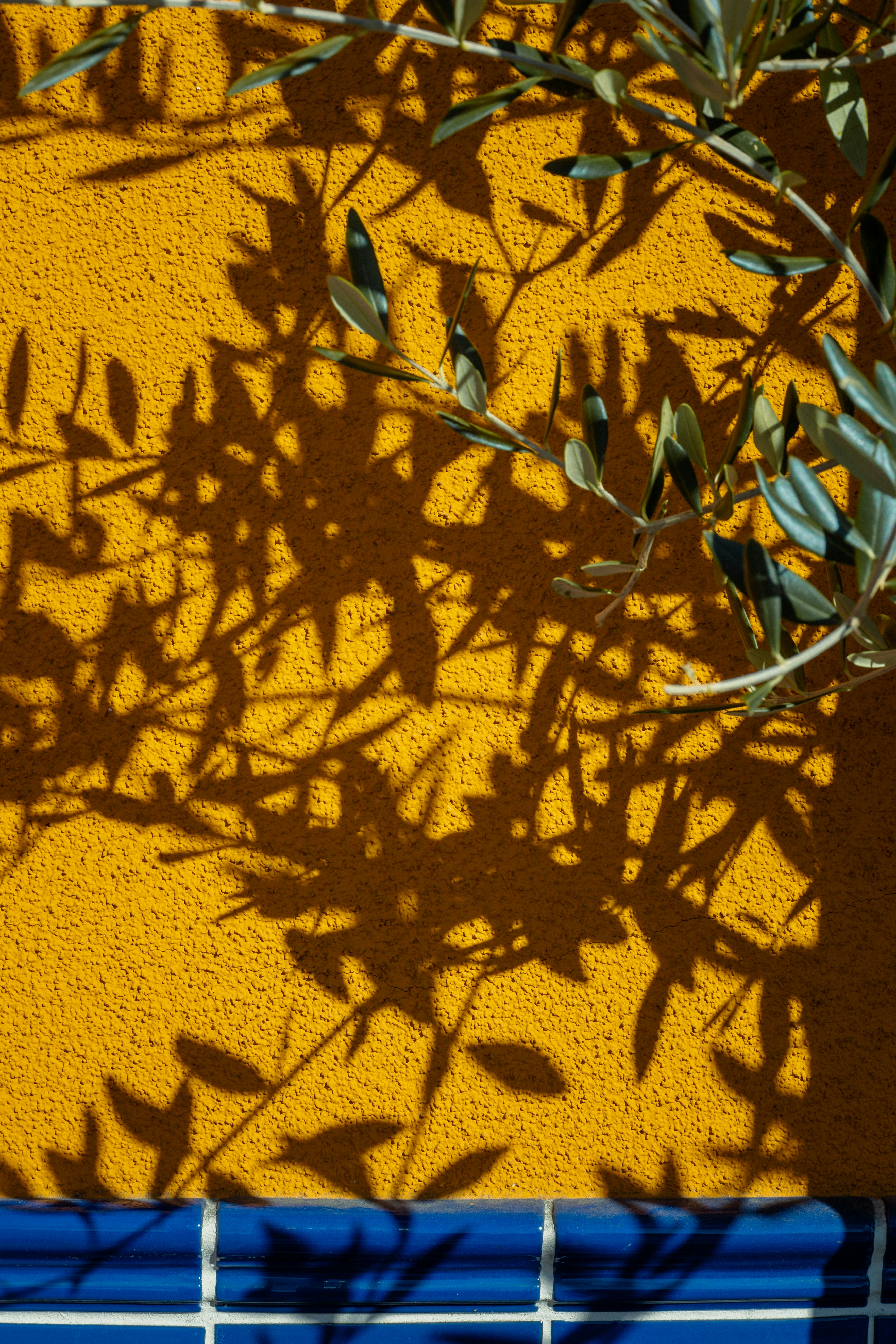 Close up of textured wall art in terracotta and olive green tones placed in a sunny corner with plants.