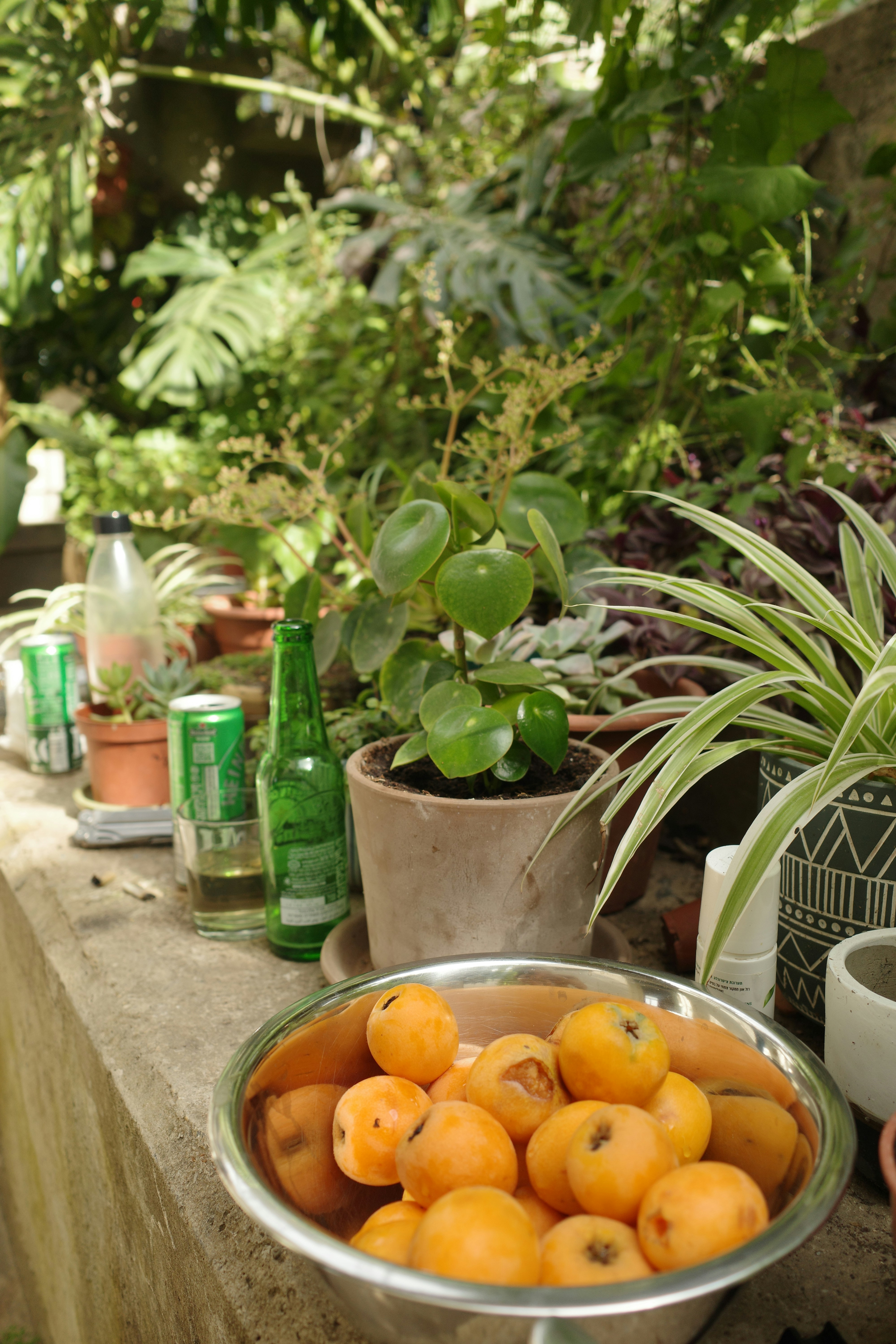 Artistic photo of recyclable aluminum cans and glass bottles on a wooden table with plants