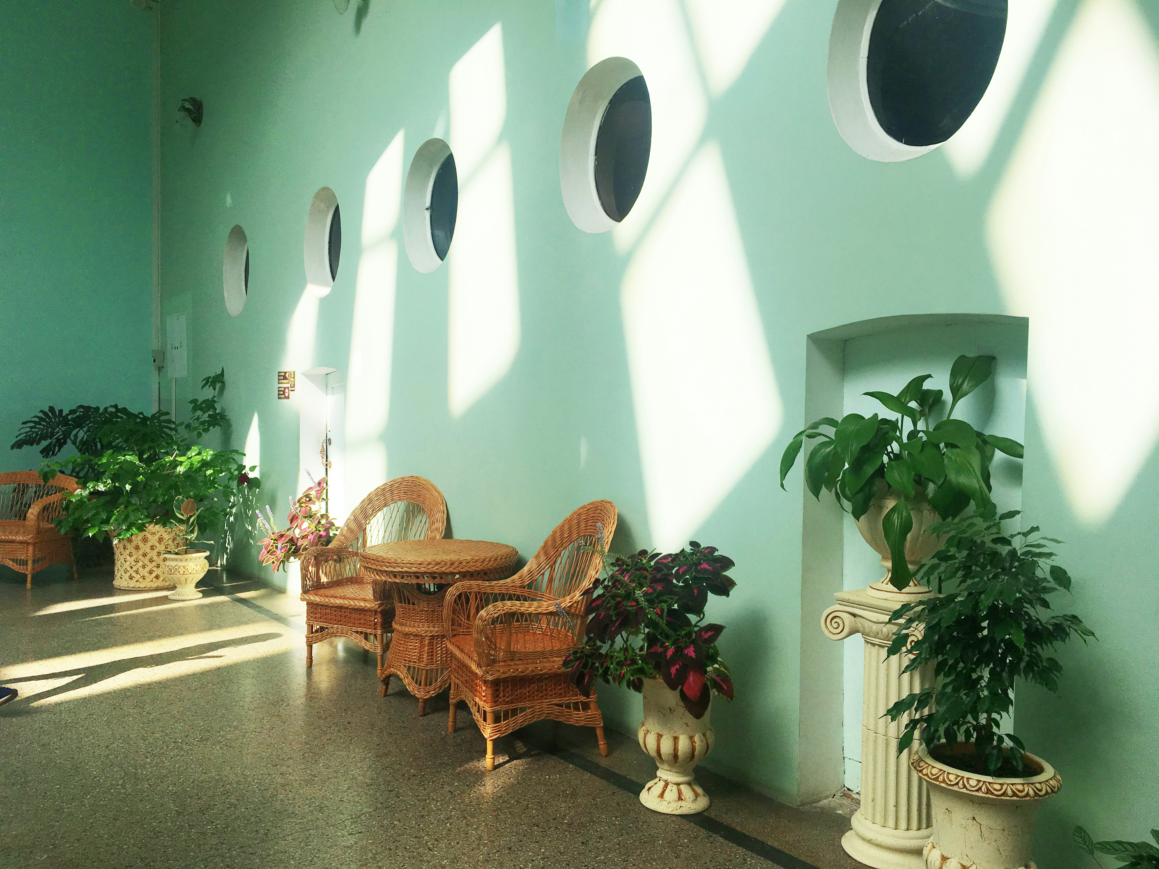 Peaceful waiting area in a wellness center with natural light and plants