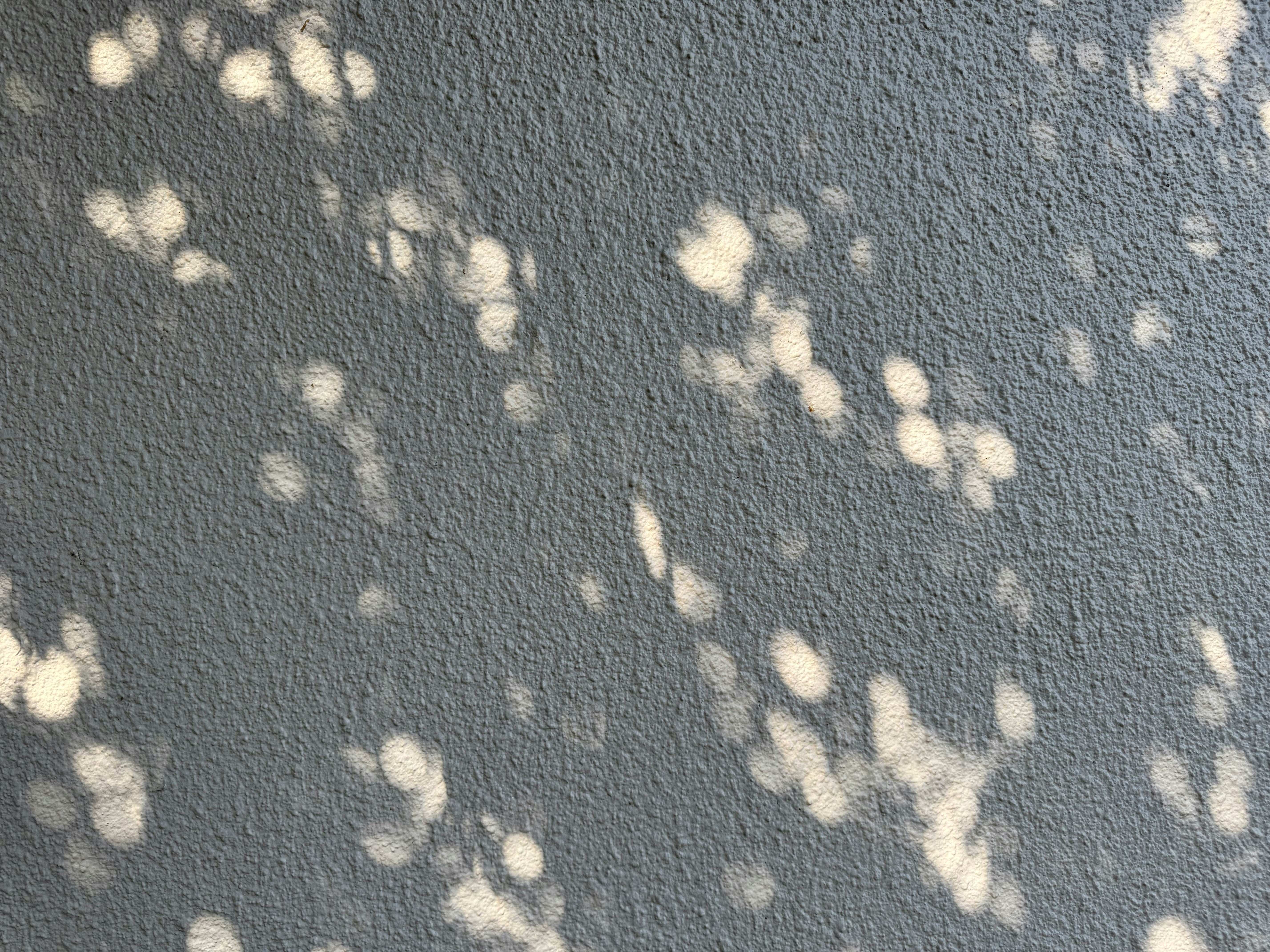 Detailed close-up texture of grey concrete painting wax effect on a wall