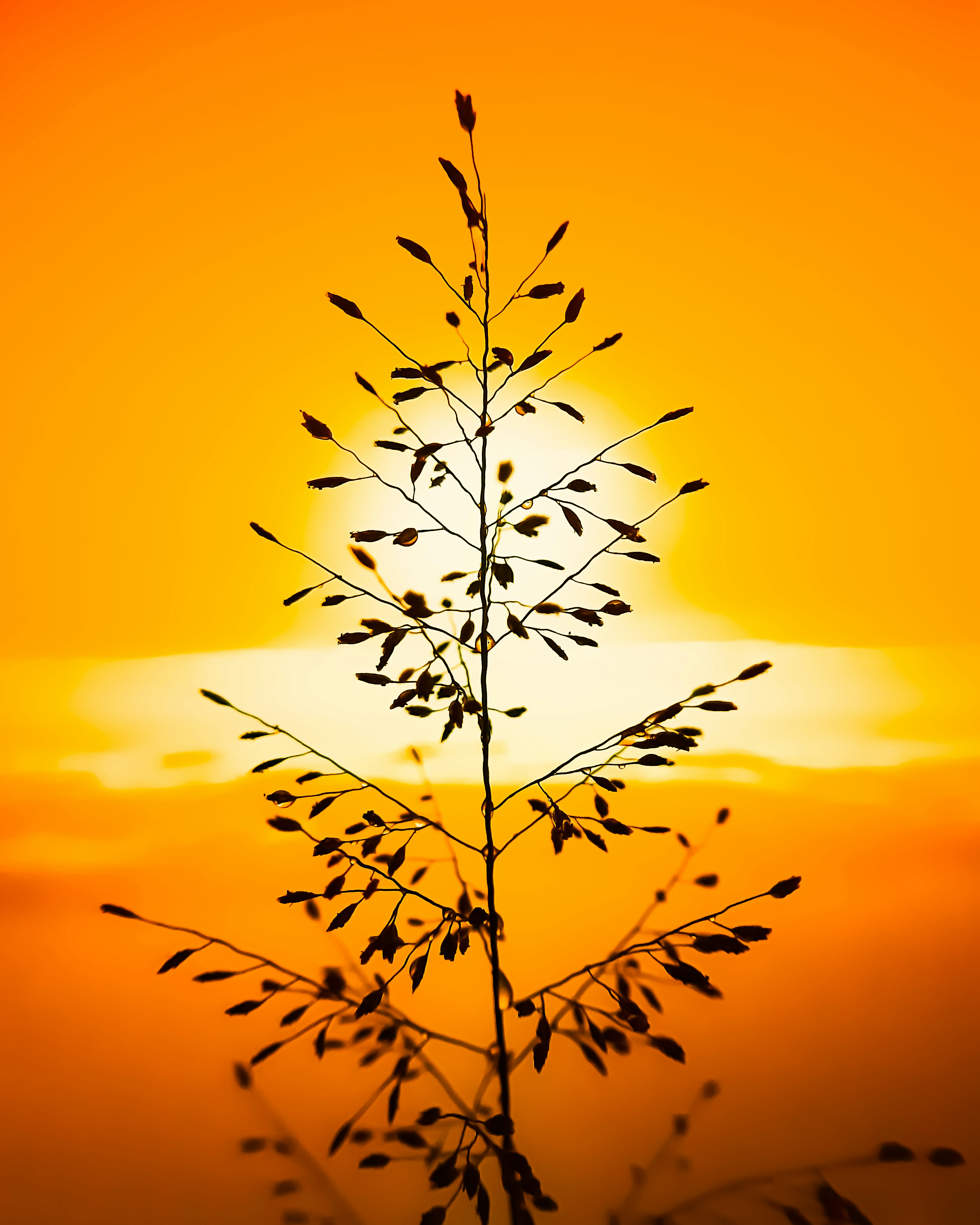 Peaceful abstract image representing balance and wellness, suitable for a health blog