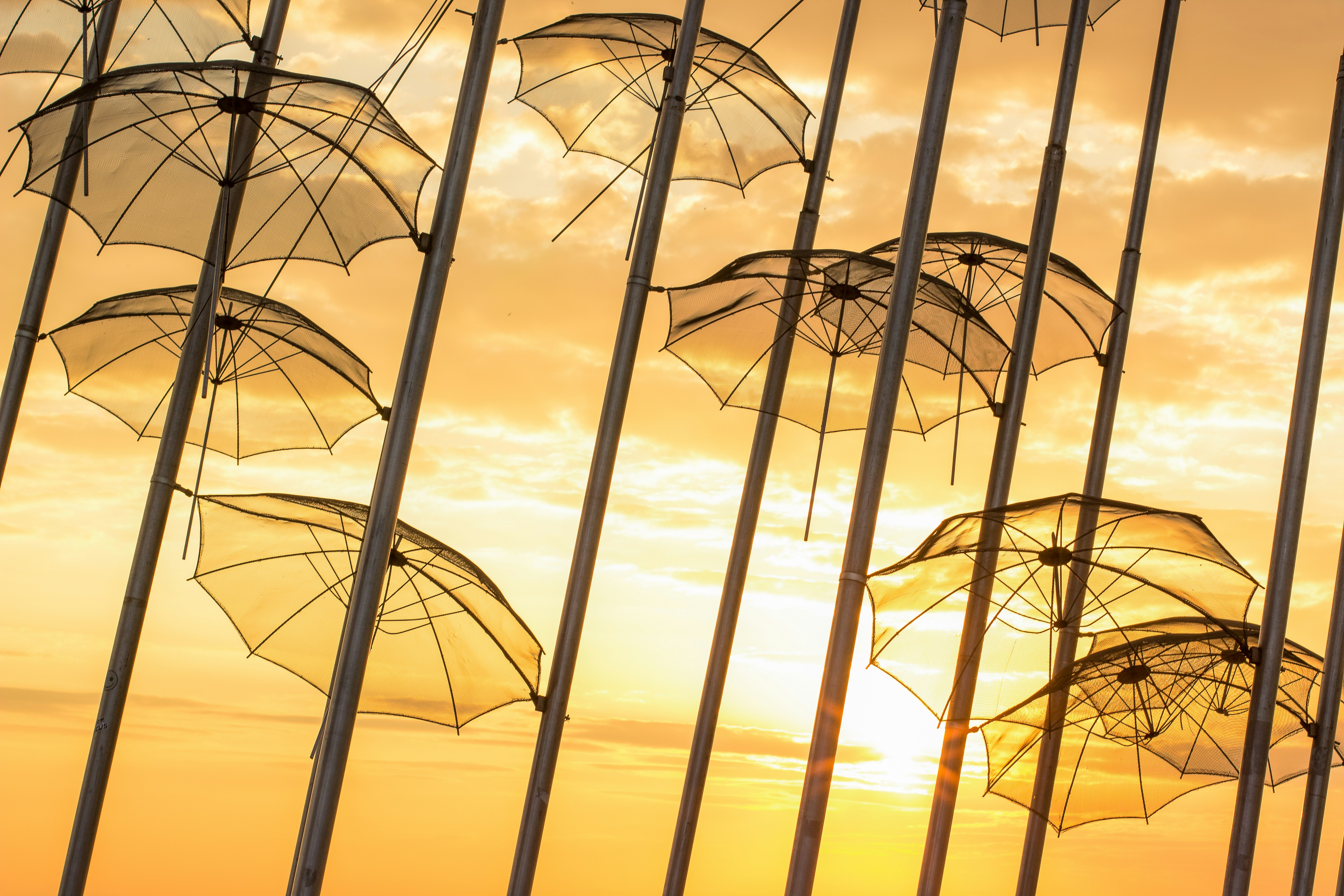 Graph showing upward trend in organic traffic growth on a tablet screen