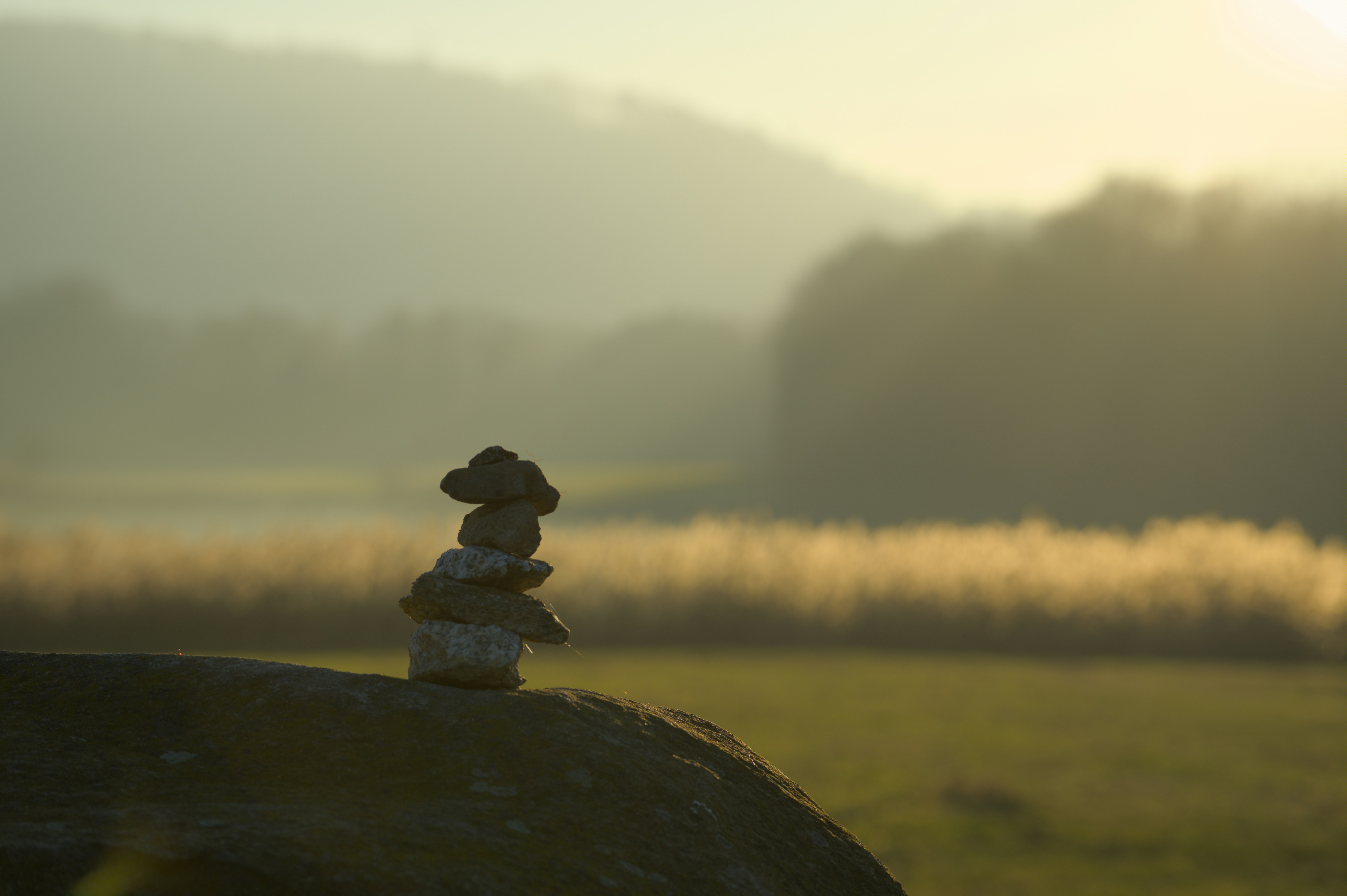 Soft focus nature inspired image representing peace and balance unsplash style