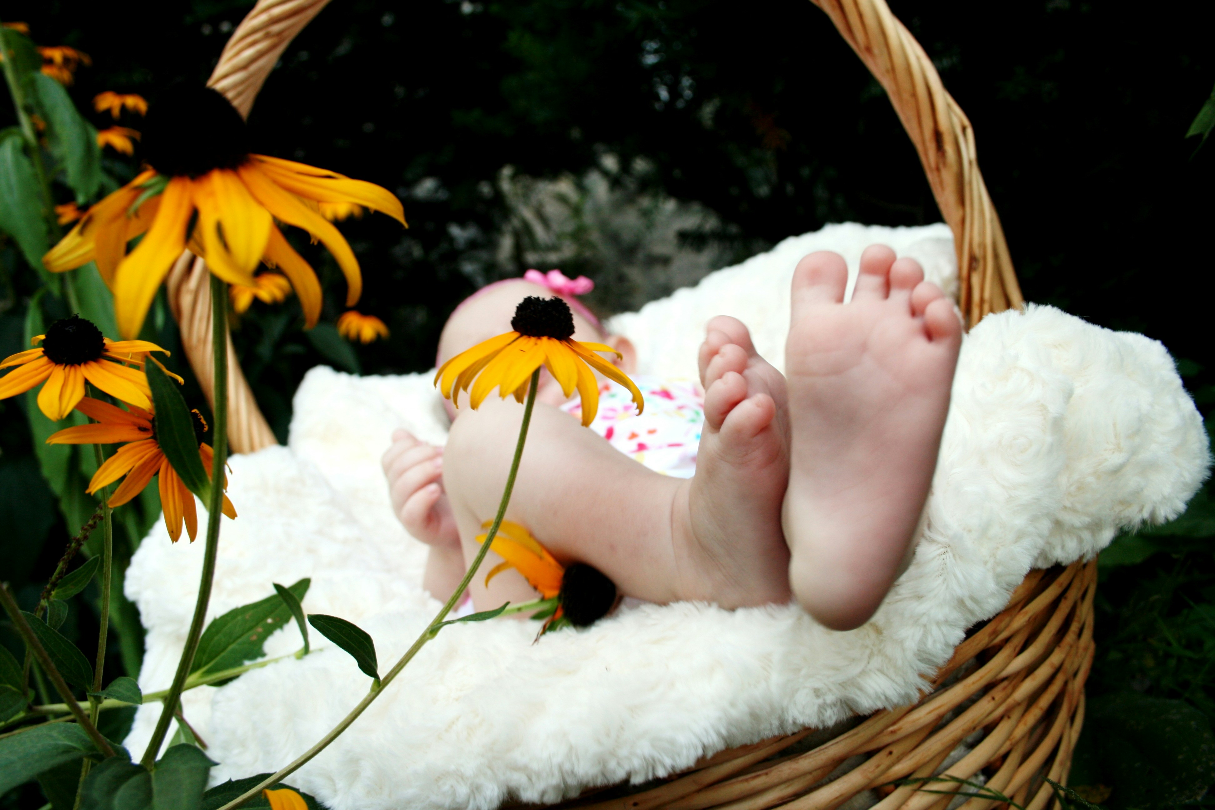 Calendar showing ideal dates for newborn photography session highlighted
