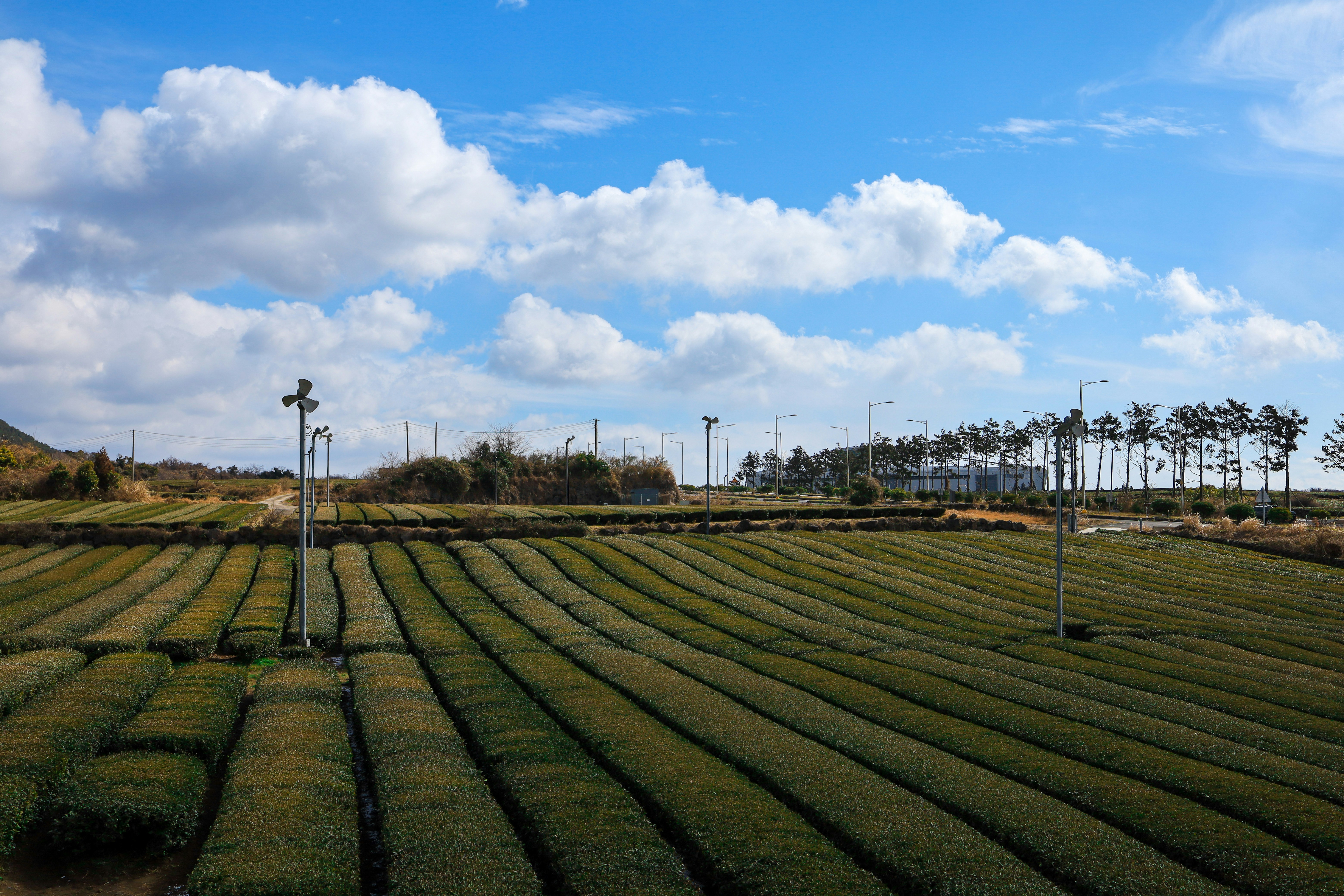 Close up generic agricultural machinery in a field with green plants