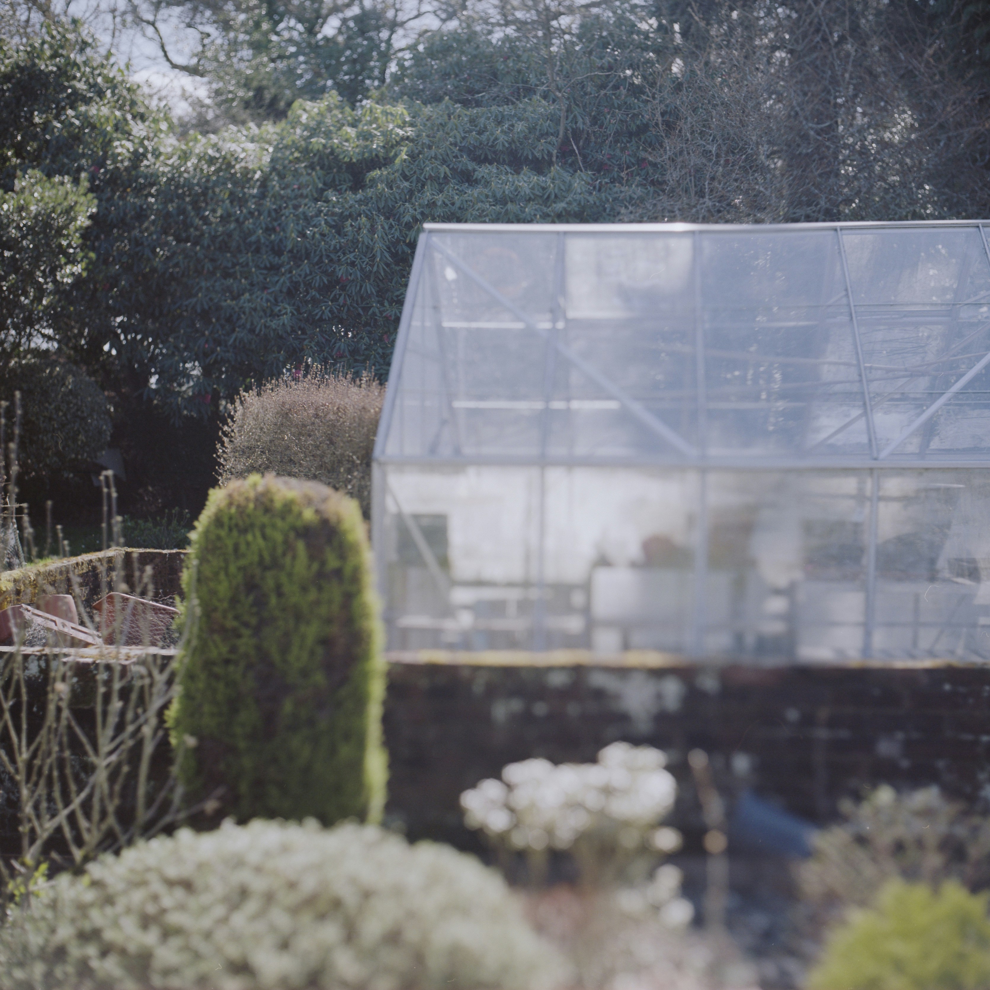Comparison split screen showing visible white mesh vs invisible black clearview mesh looking at a garden