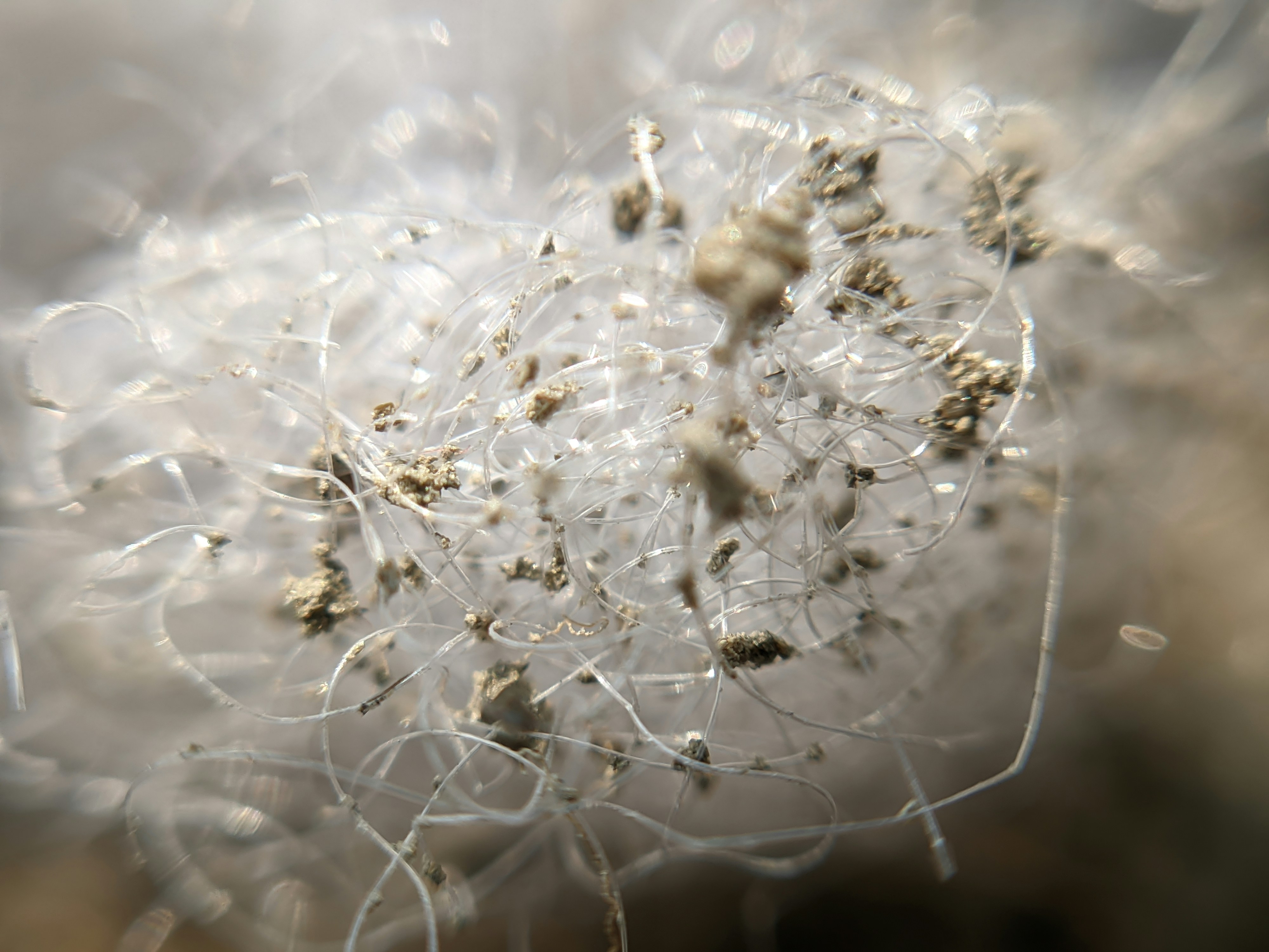 Macro shot of dust and pollen accumulation on a mosquito net mesh needing cleaning