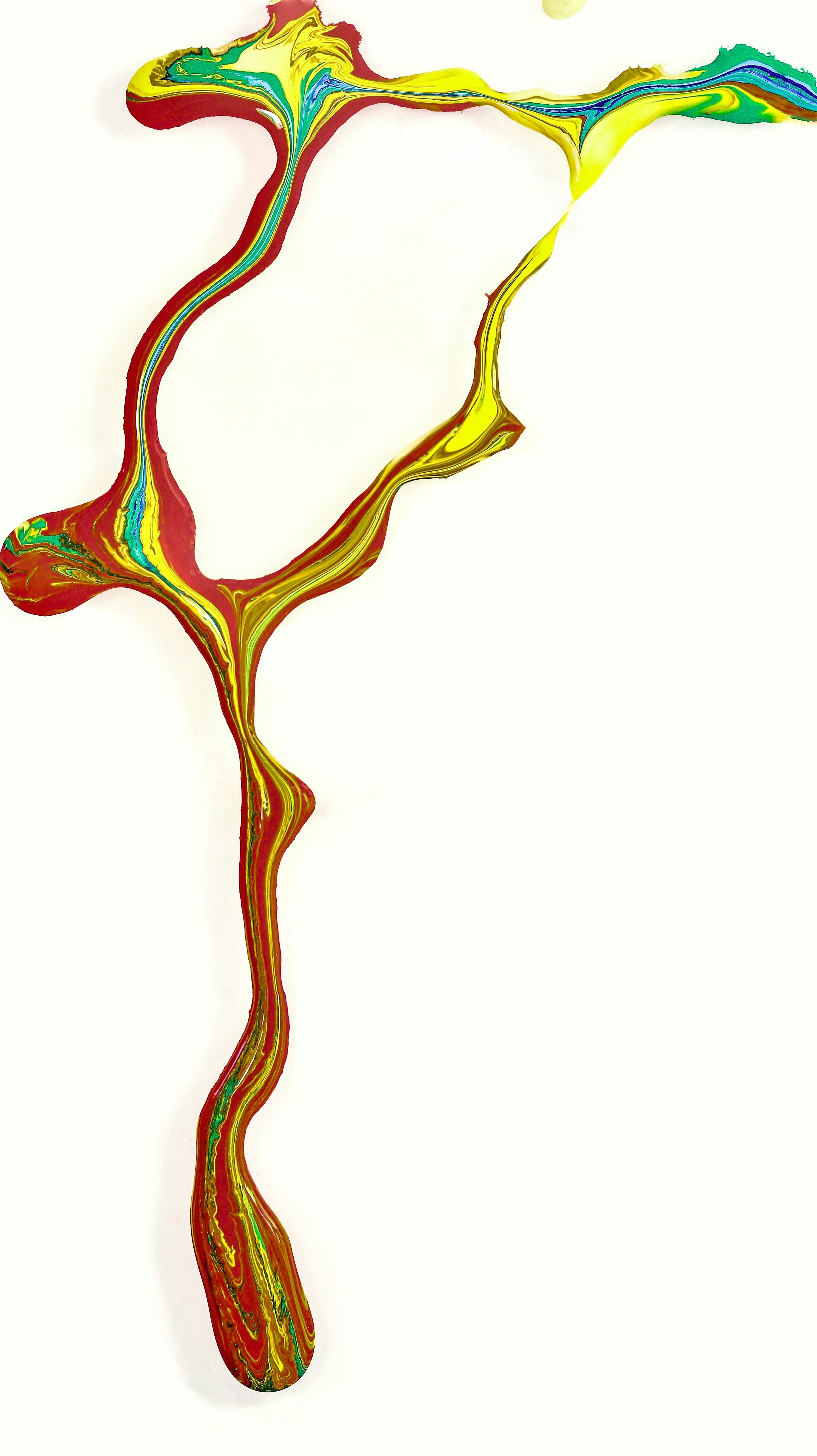 Anatomical diagram showing the connection between the brain, the vagus nerve, and the digestive system (gut-brain axis)
