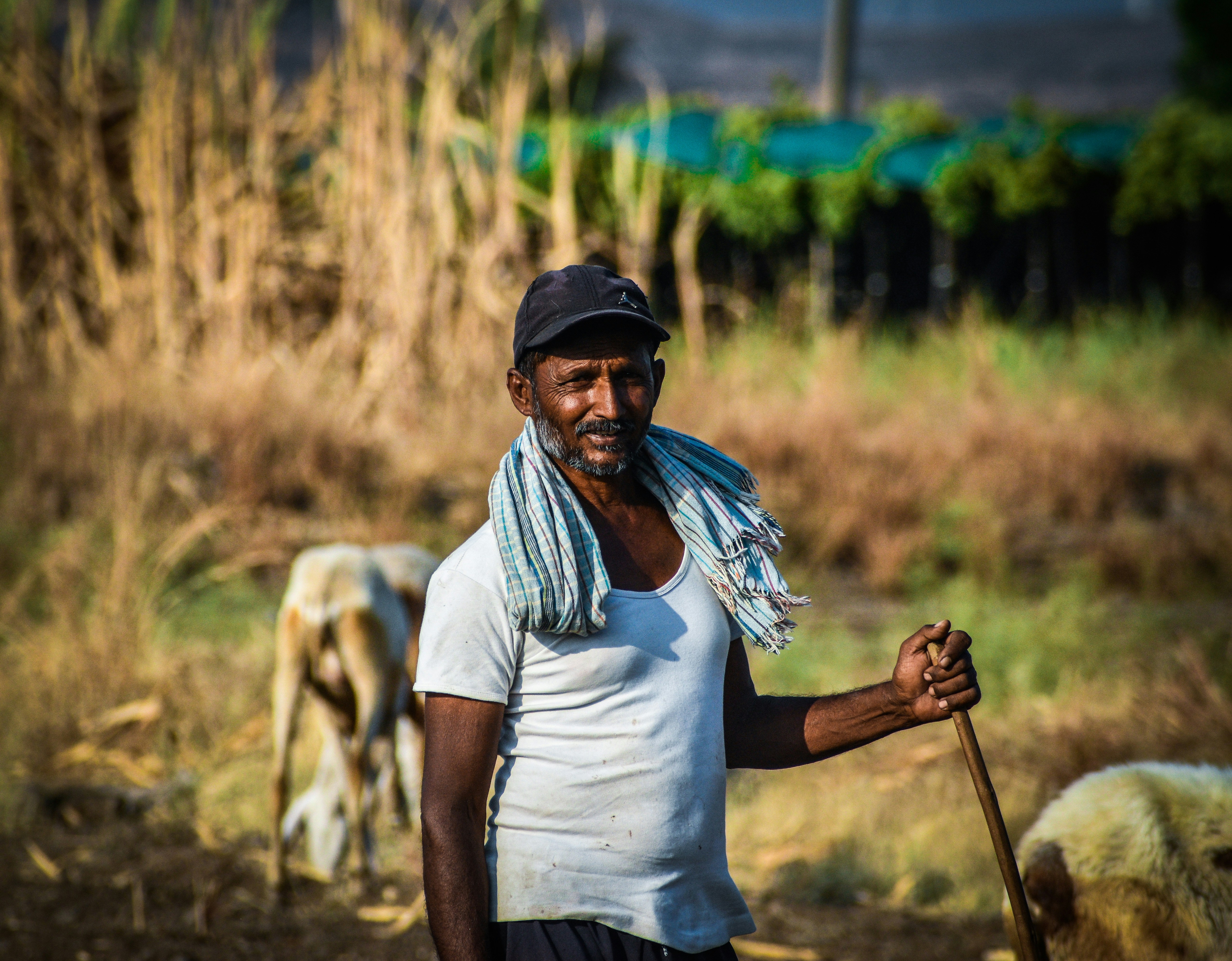 Un agriculteur heureux serre la main à un concessionnaire d'équipements agricoles dans un champ.