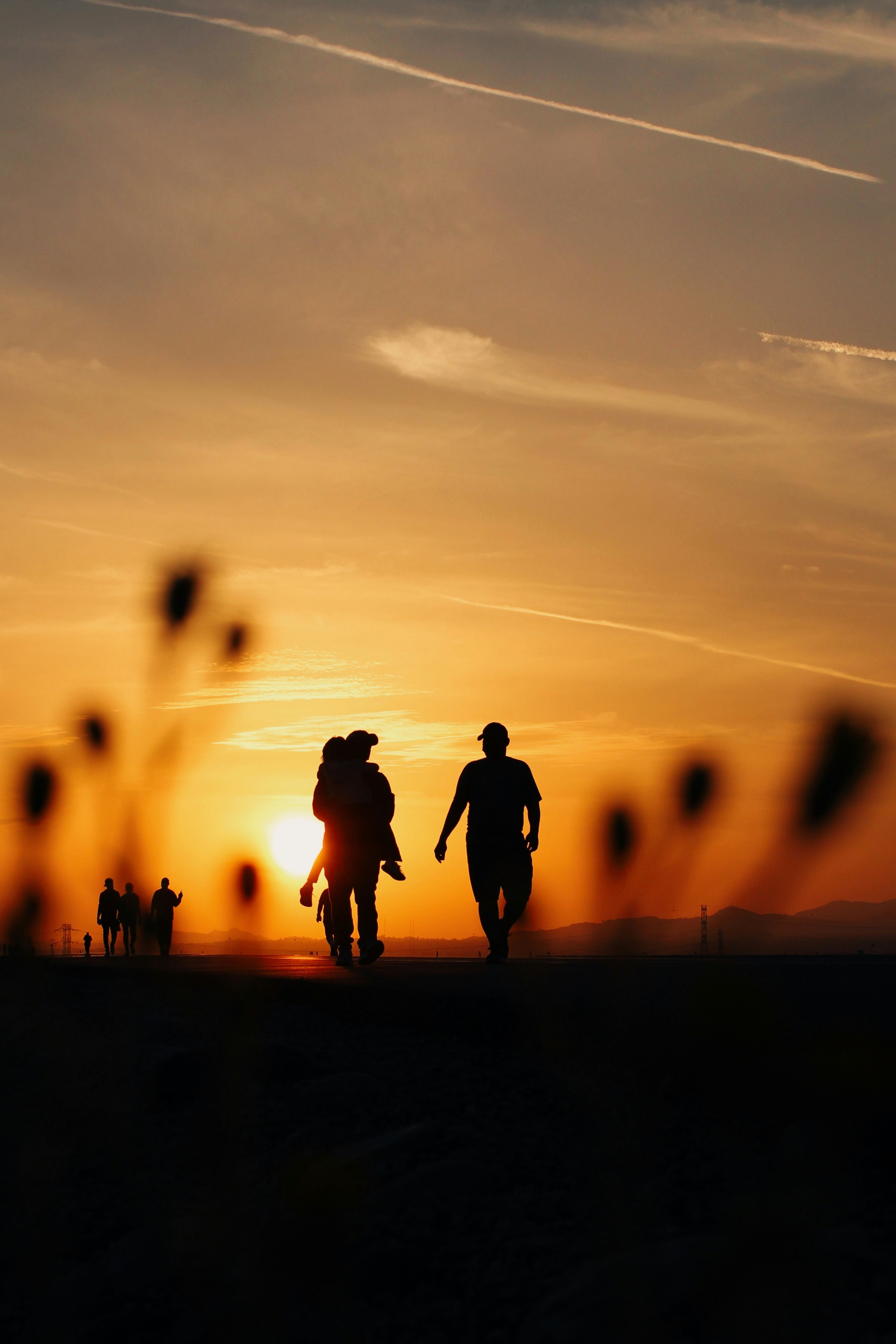 Couple de mariés marchant de dos dans les vignes du Lavaux avec le lac Léman et les montagnes en arrière plan au coucher du soleil