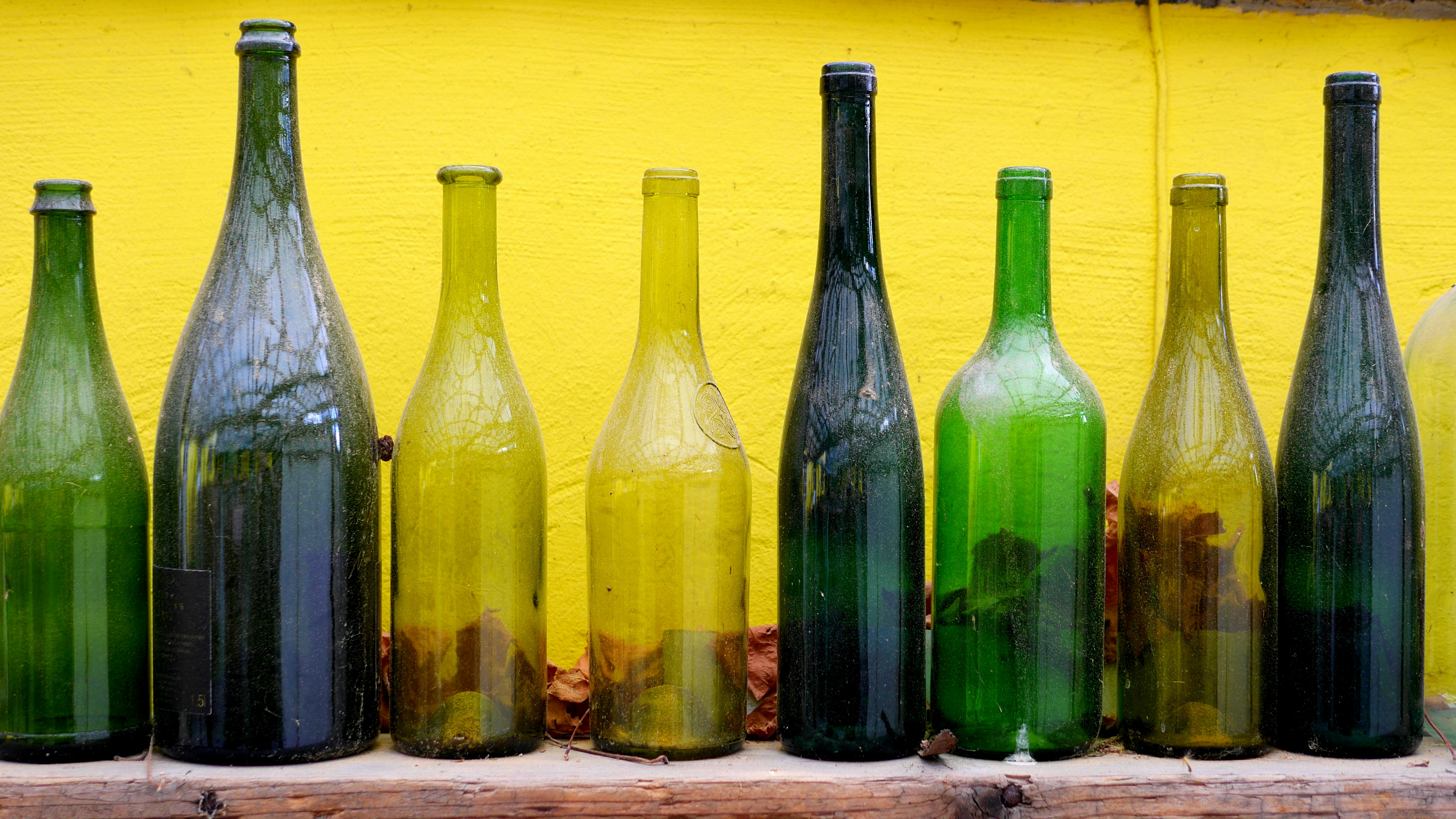 Bar counter with natural wine bottles lined up and blurred background of people chatting