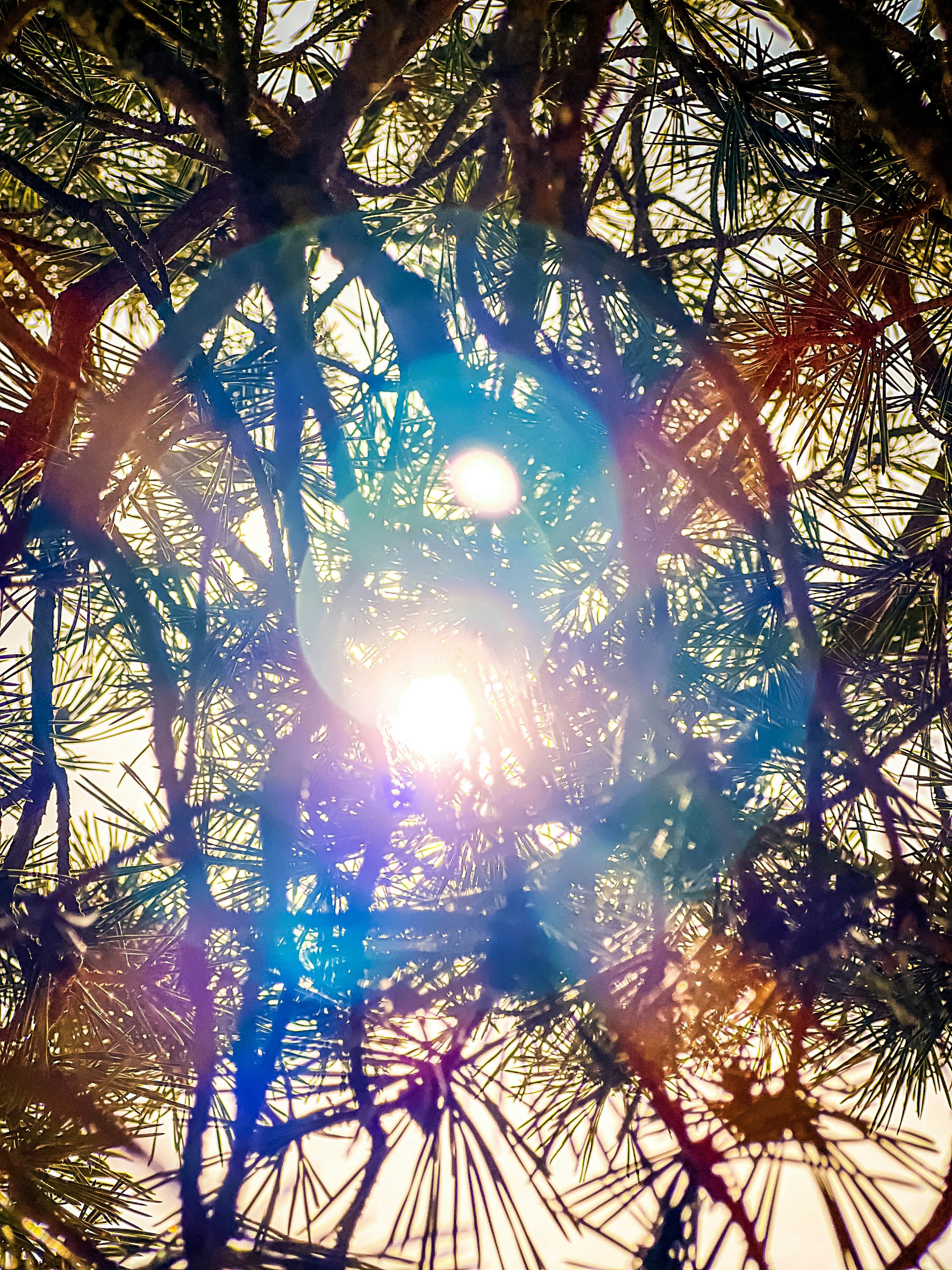 Illustration douce et apaisante représentant la régulation du système nerveux et le retour au calme intérieur, style artistique et abstrait