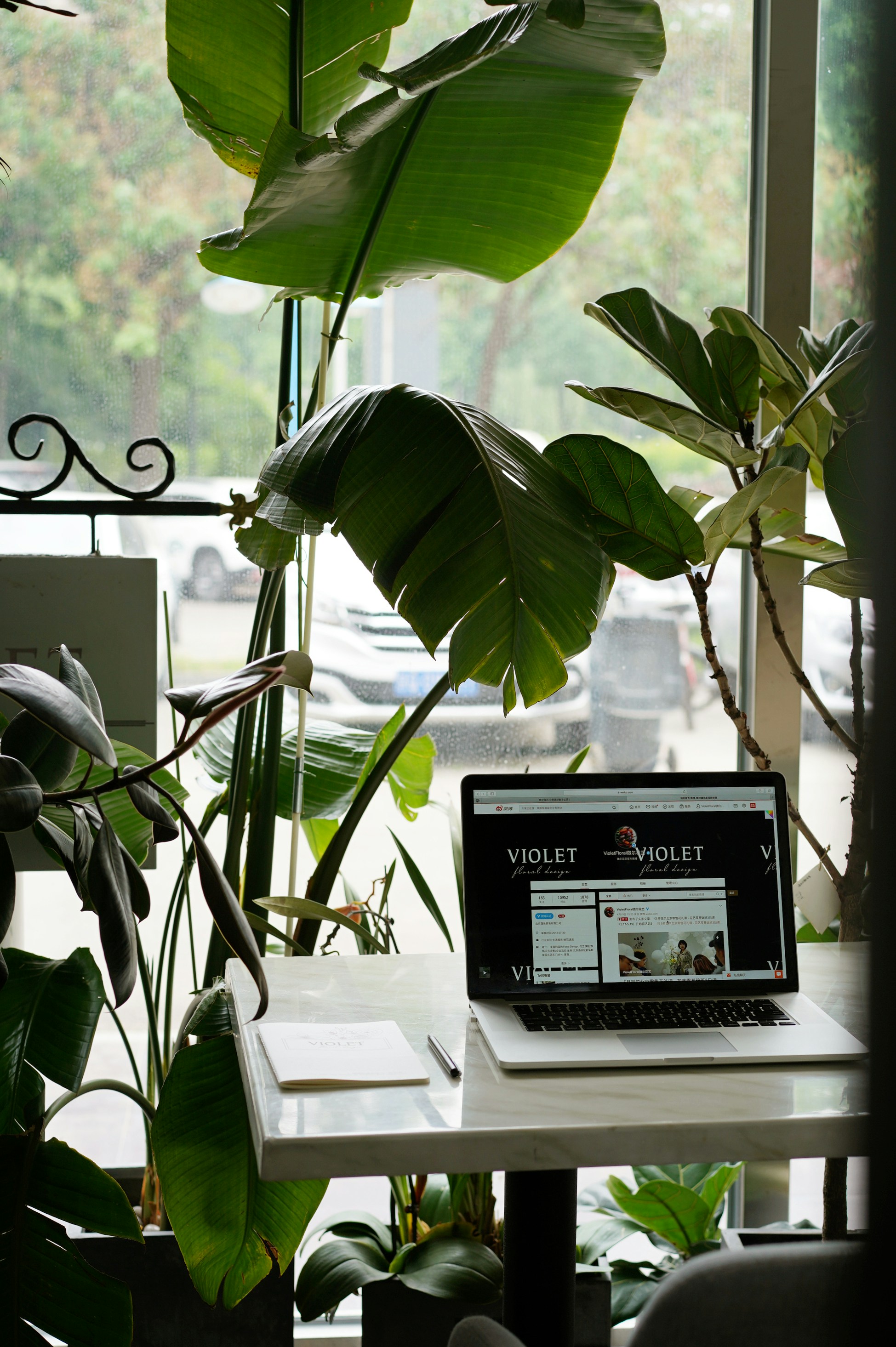 Woman using a laptop in a cozy, sunlit living room with plants, looking happy while shopping online with a credit card in hand