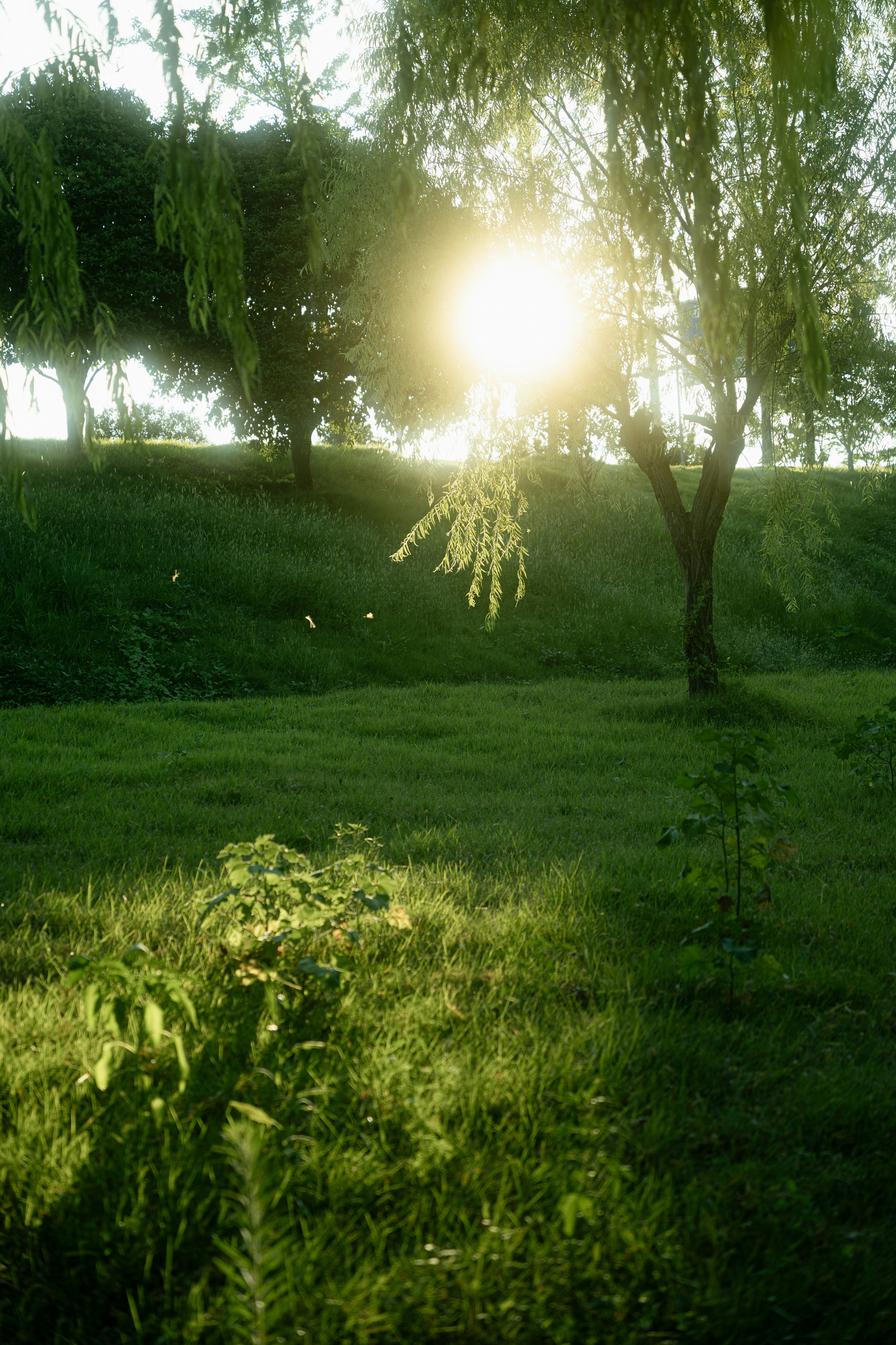 Peaceful nature landscape near Sèvre Nantaise close to Vertou, evoking serenity and healing
