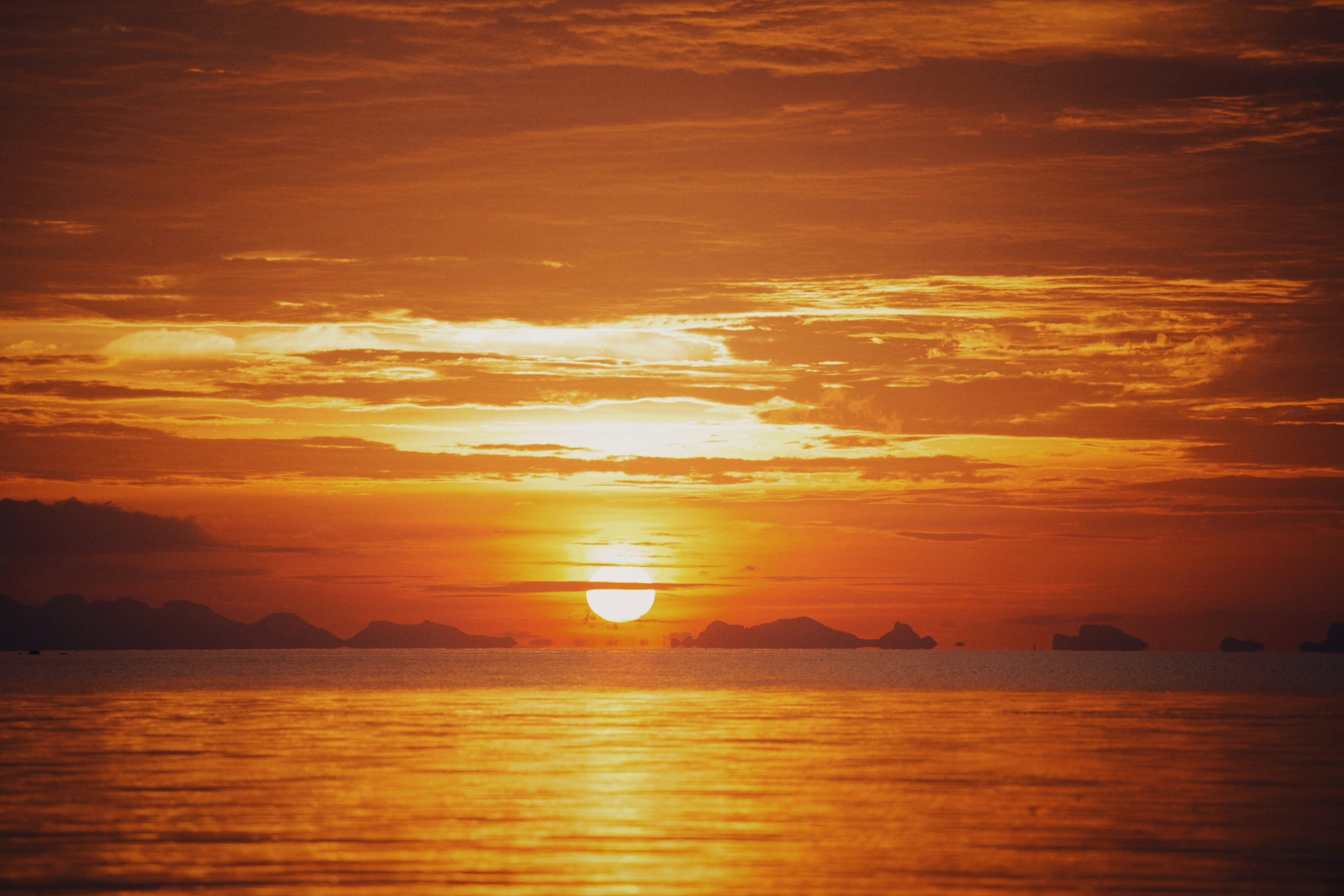 Digital marketing dashboard specifically comparing SEO and SEA traffic sources for a Swiss business