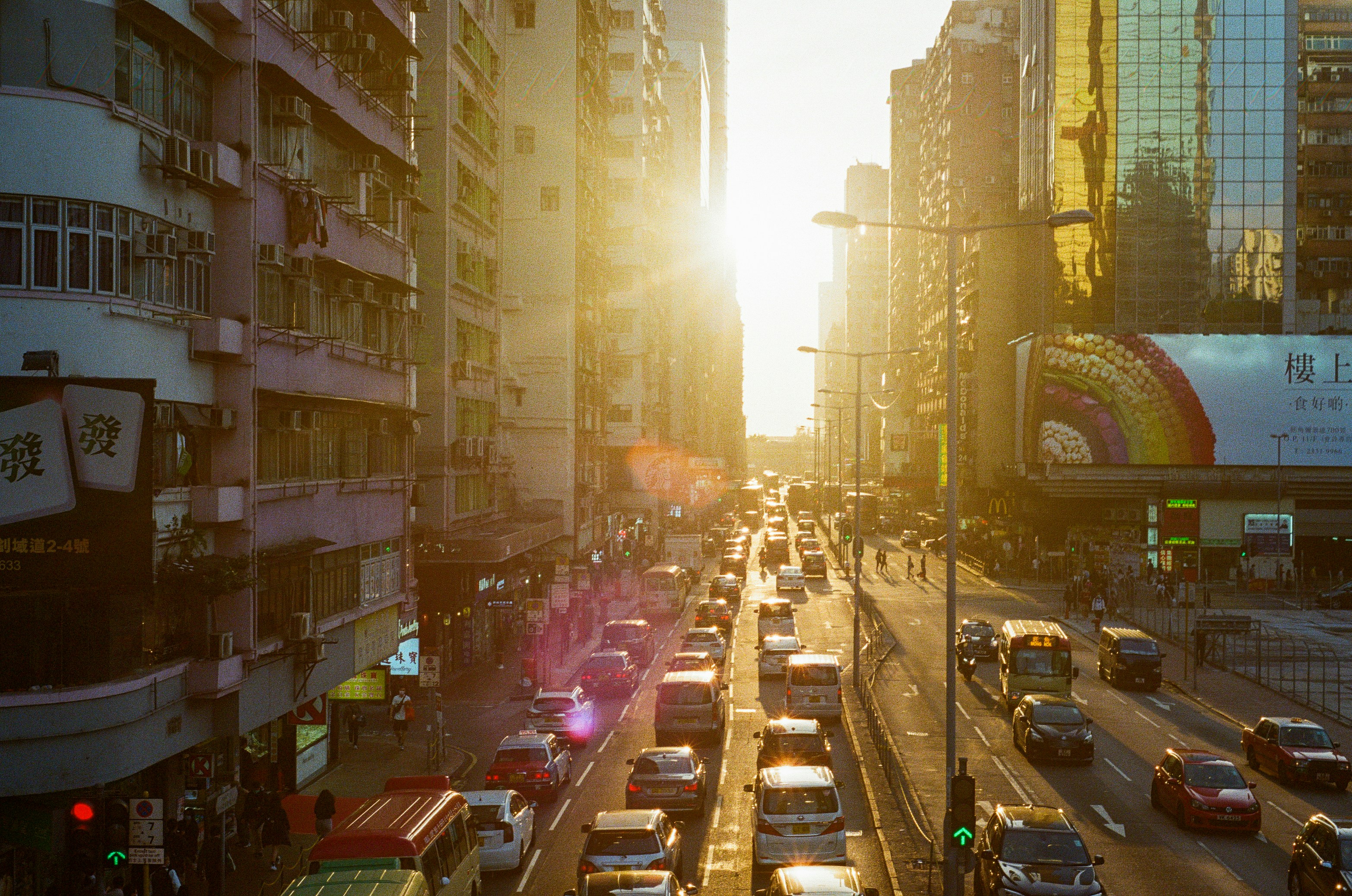 A chart showing the rise in organic traffic over 6 months using AI automation versus a flat line for manual processes