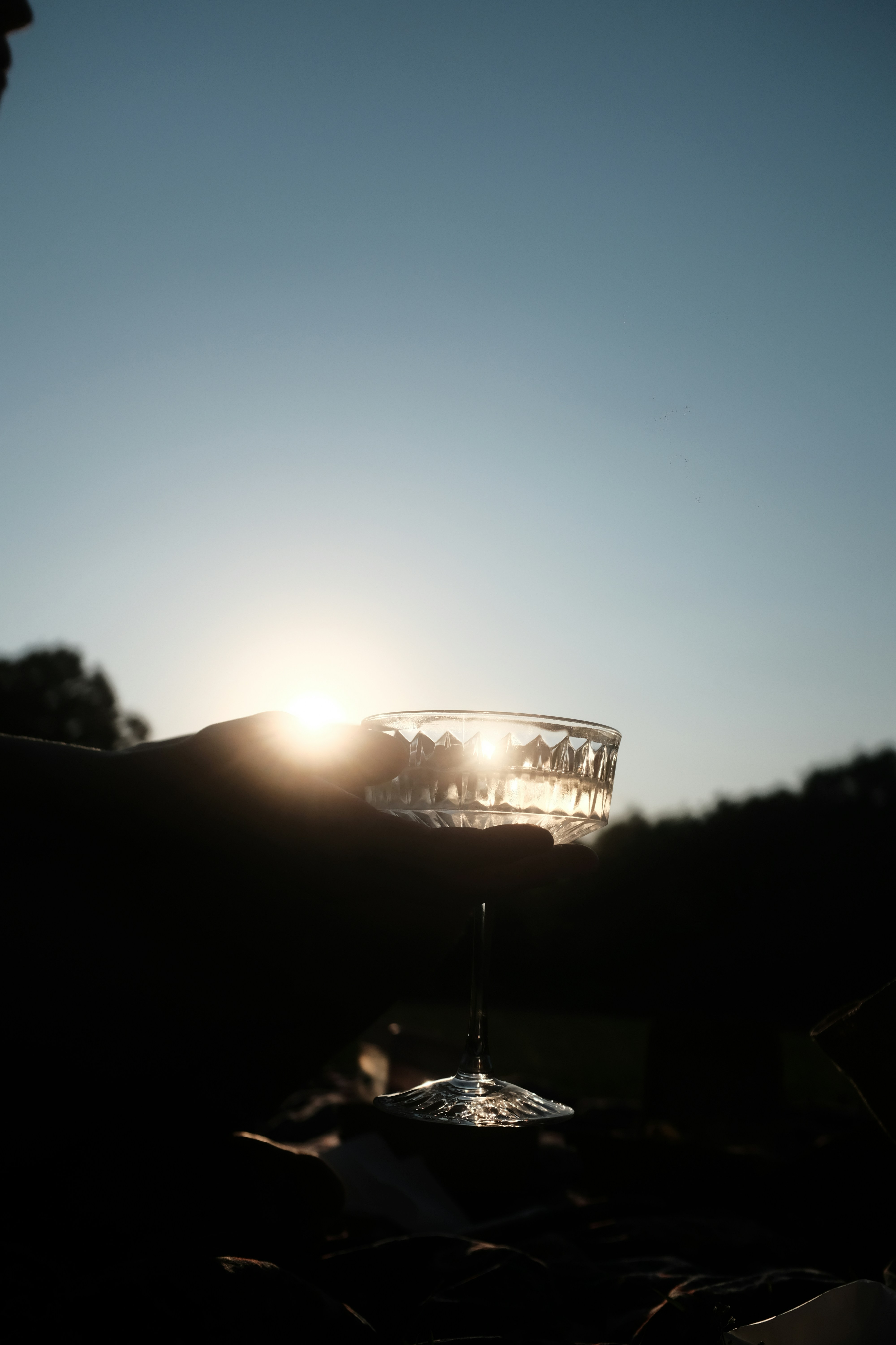 Photographer working discreetly in the background during a cocktail hour in Lavaux vineyards