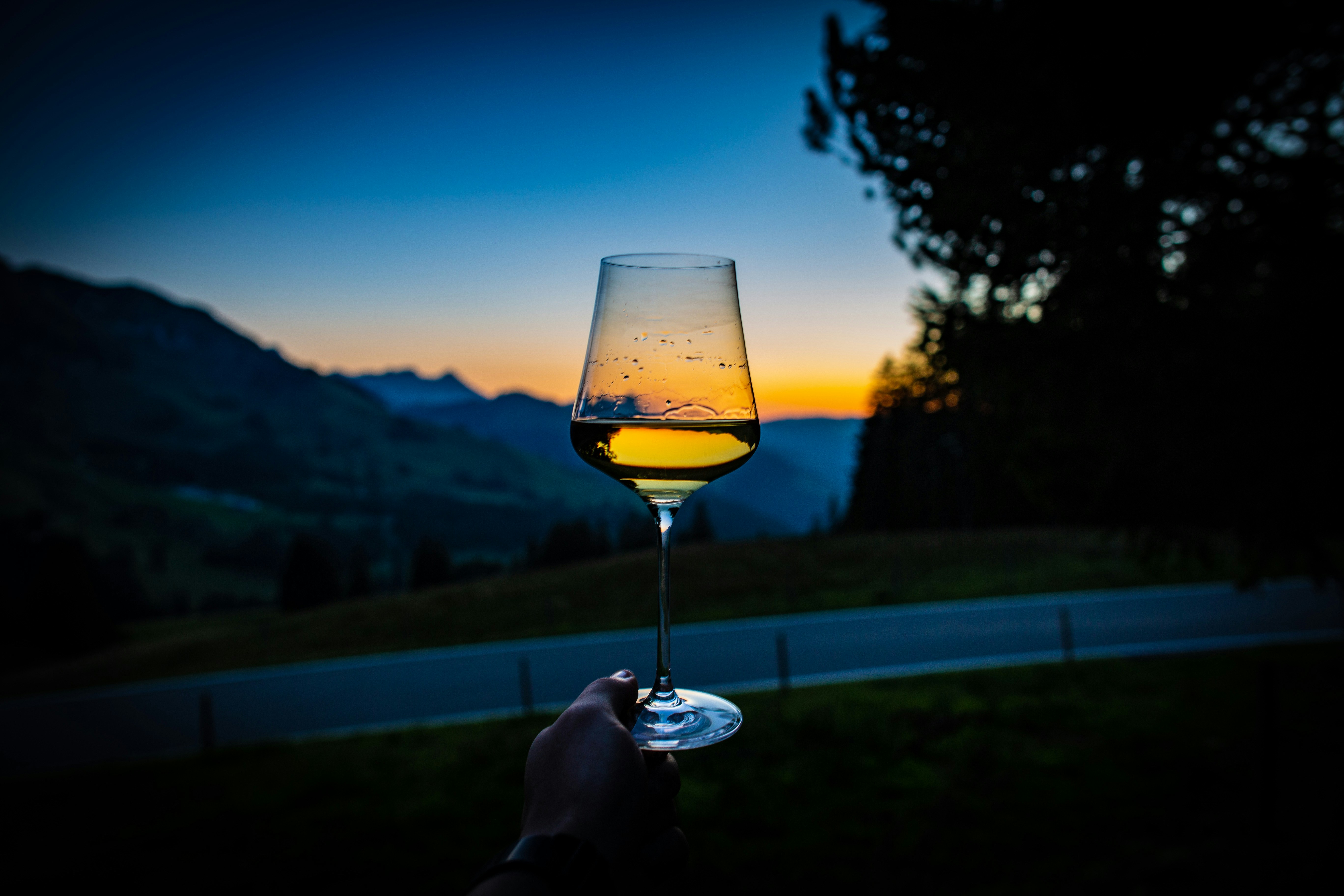 Group of friends laughing and drinking wine in a swiss vineyard terrace at sunset