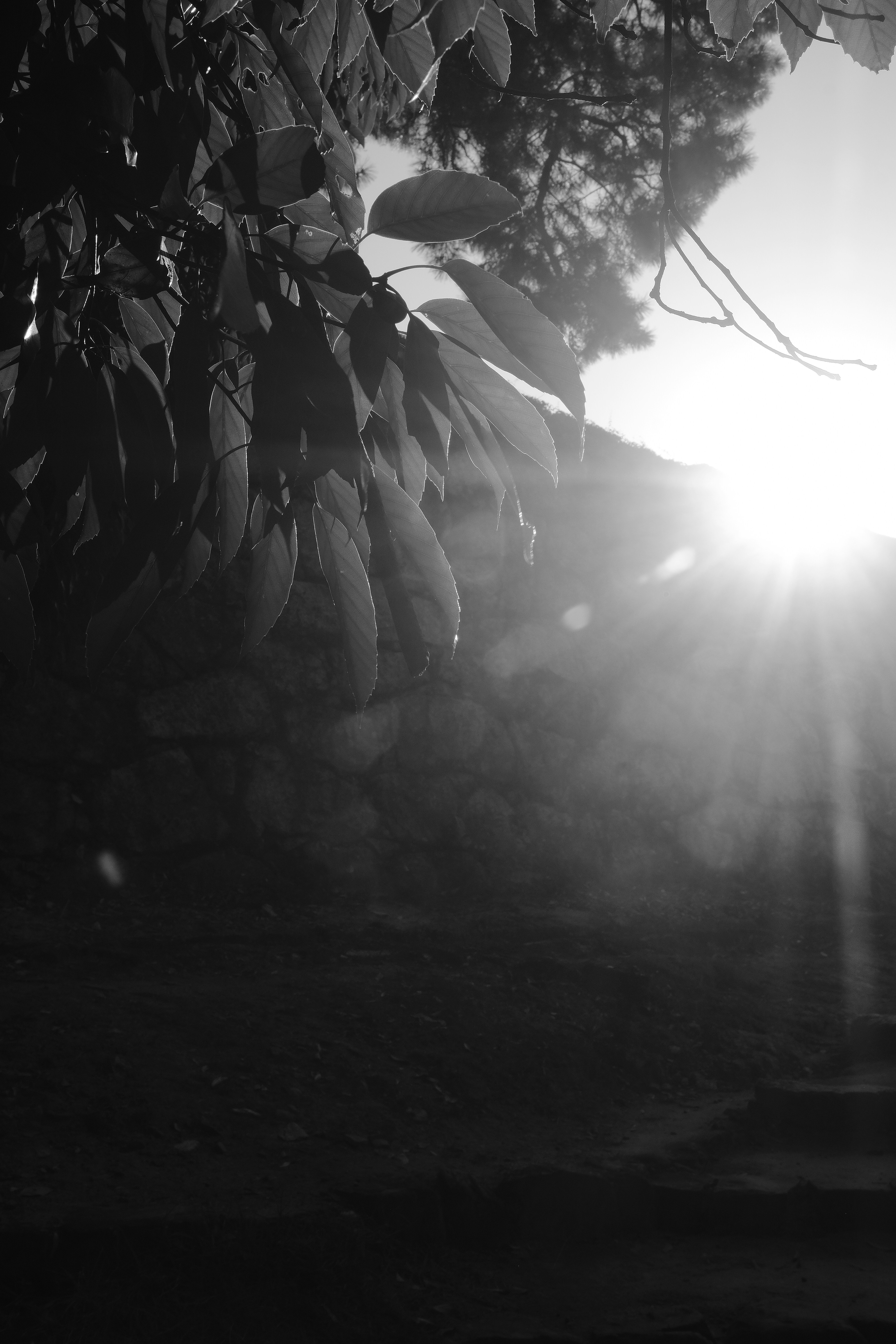 Behind the scenes of a photo session showing the friendly interaction between photographer and client