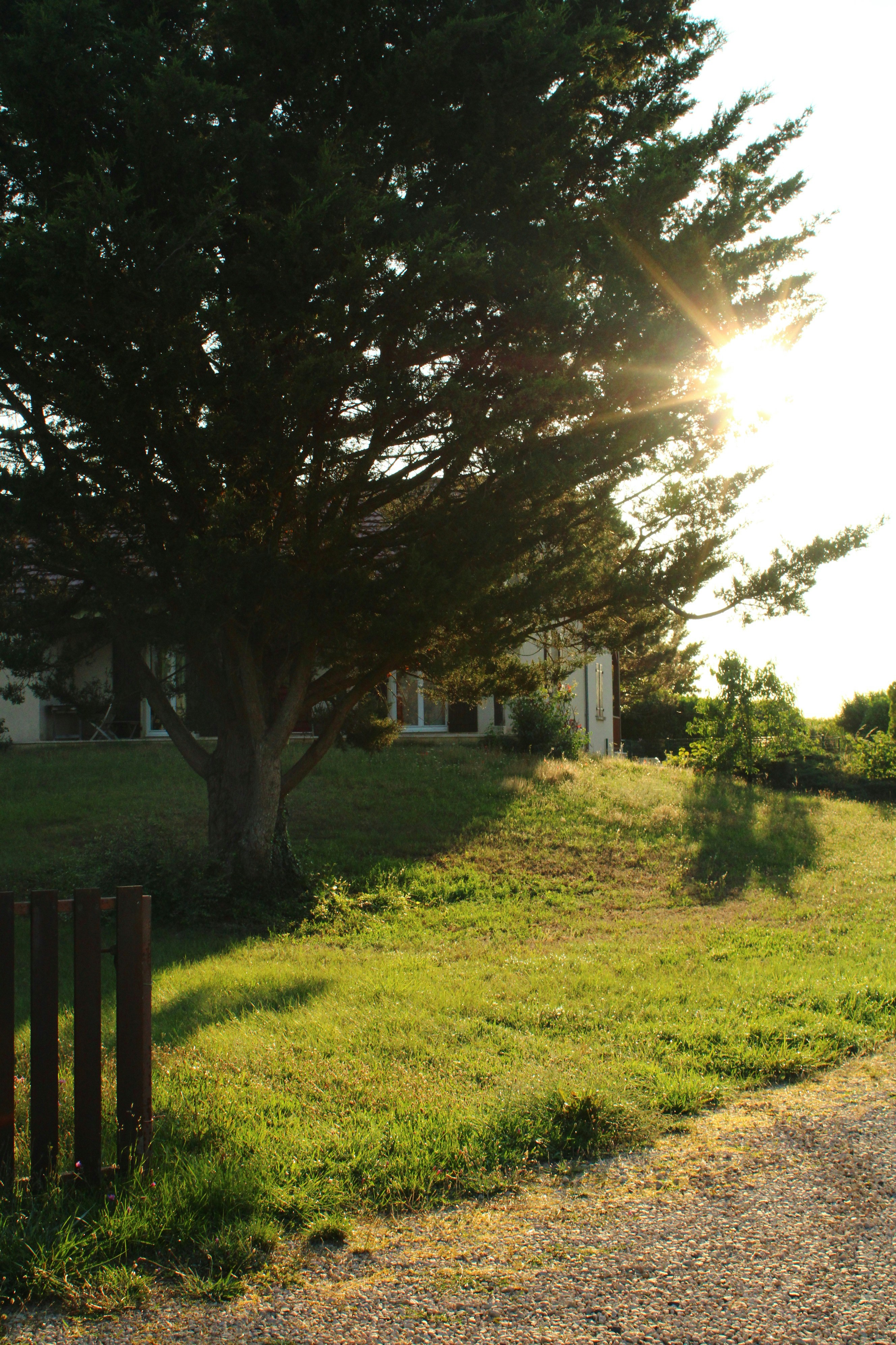 Peaceful nature view representing the Maison Forêt environment in Vertou, green trees and calm atmosphere