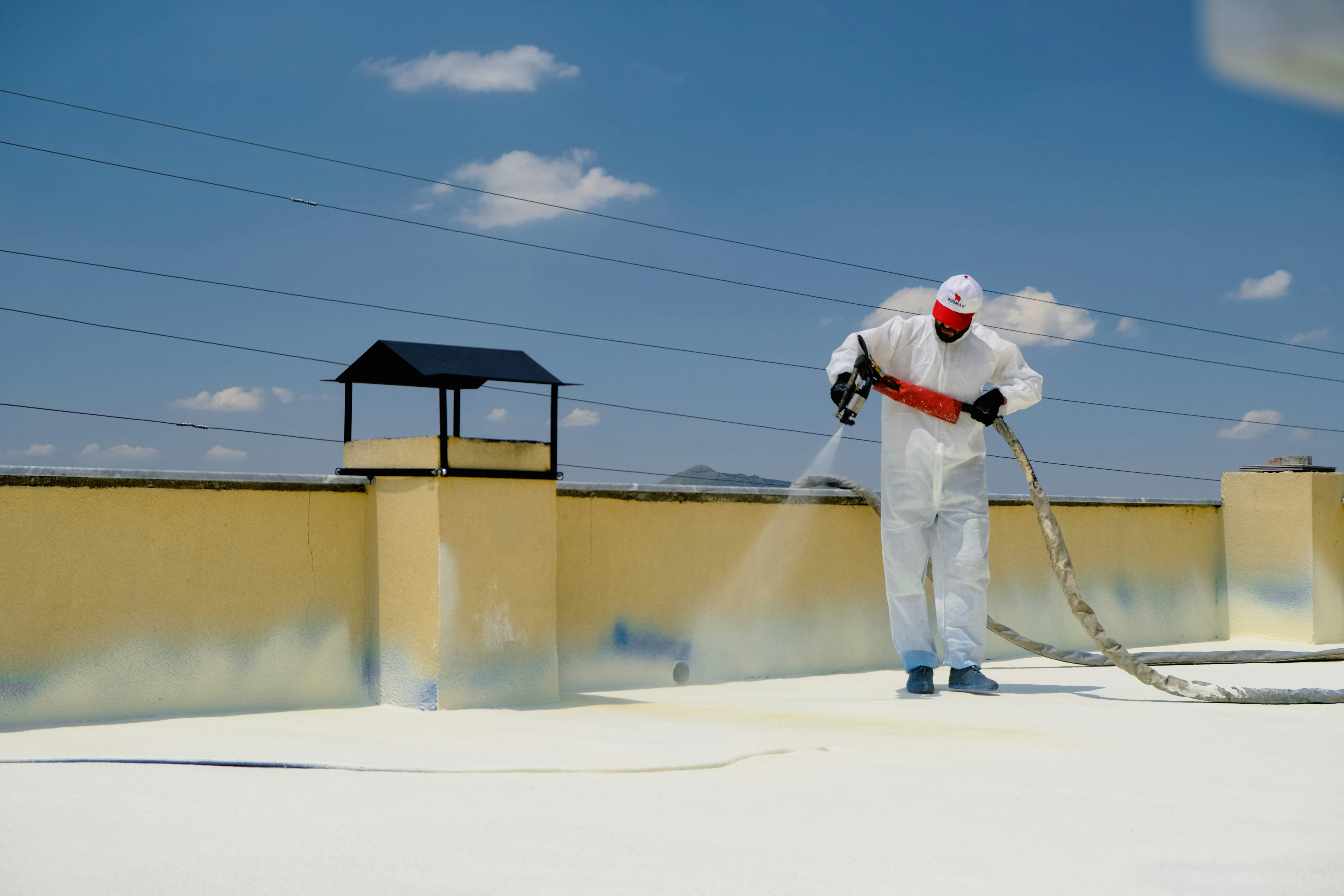 Professional cleaner removing mold from a wall with specialized equipment before painting