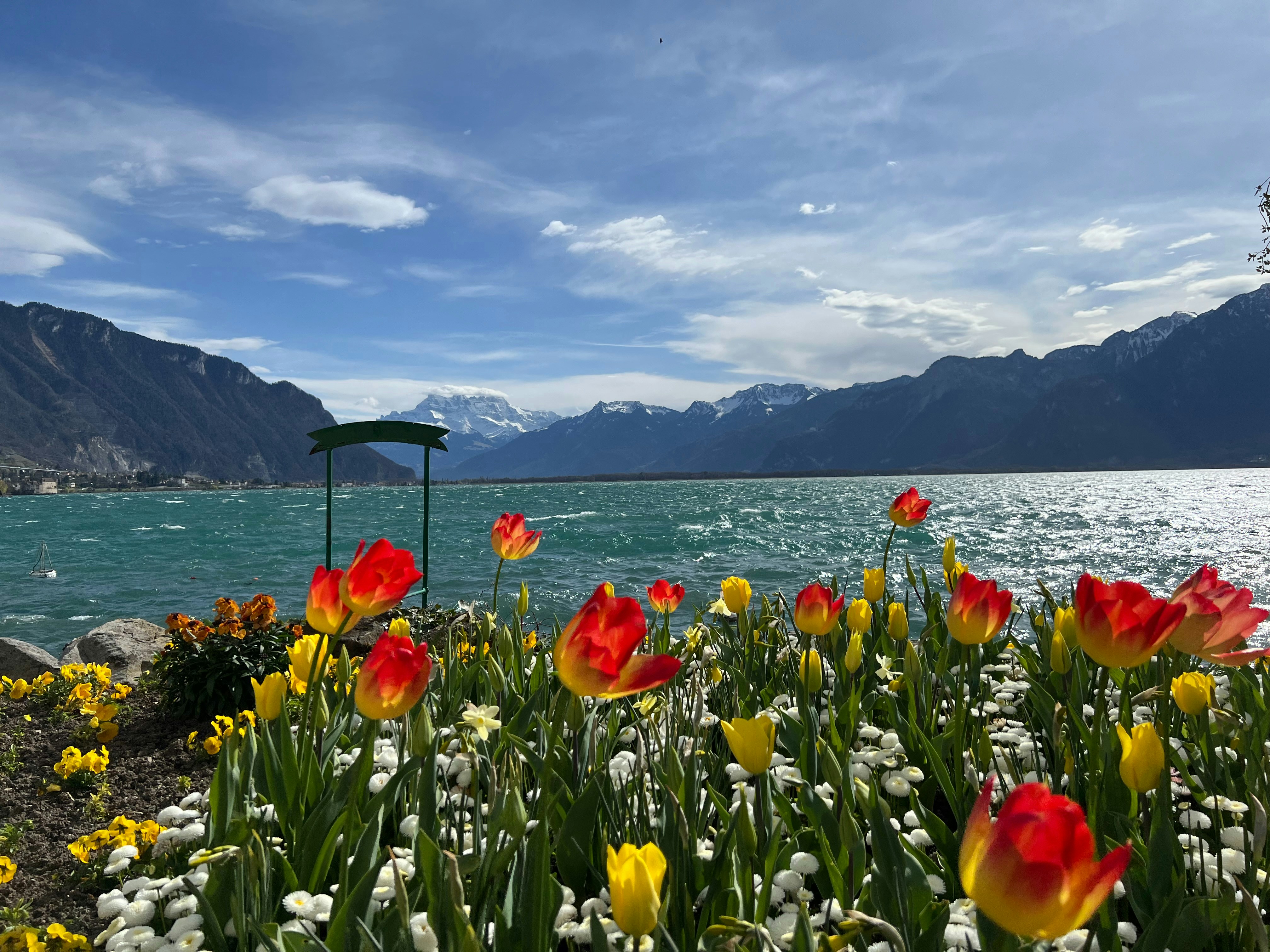 Vue panoramique du lac Léman depuis les quais de Montreux avec des fleurs au premier plan et les montagnes en fond