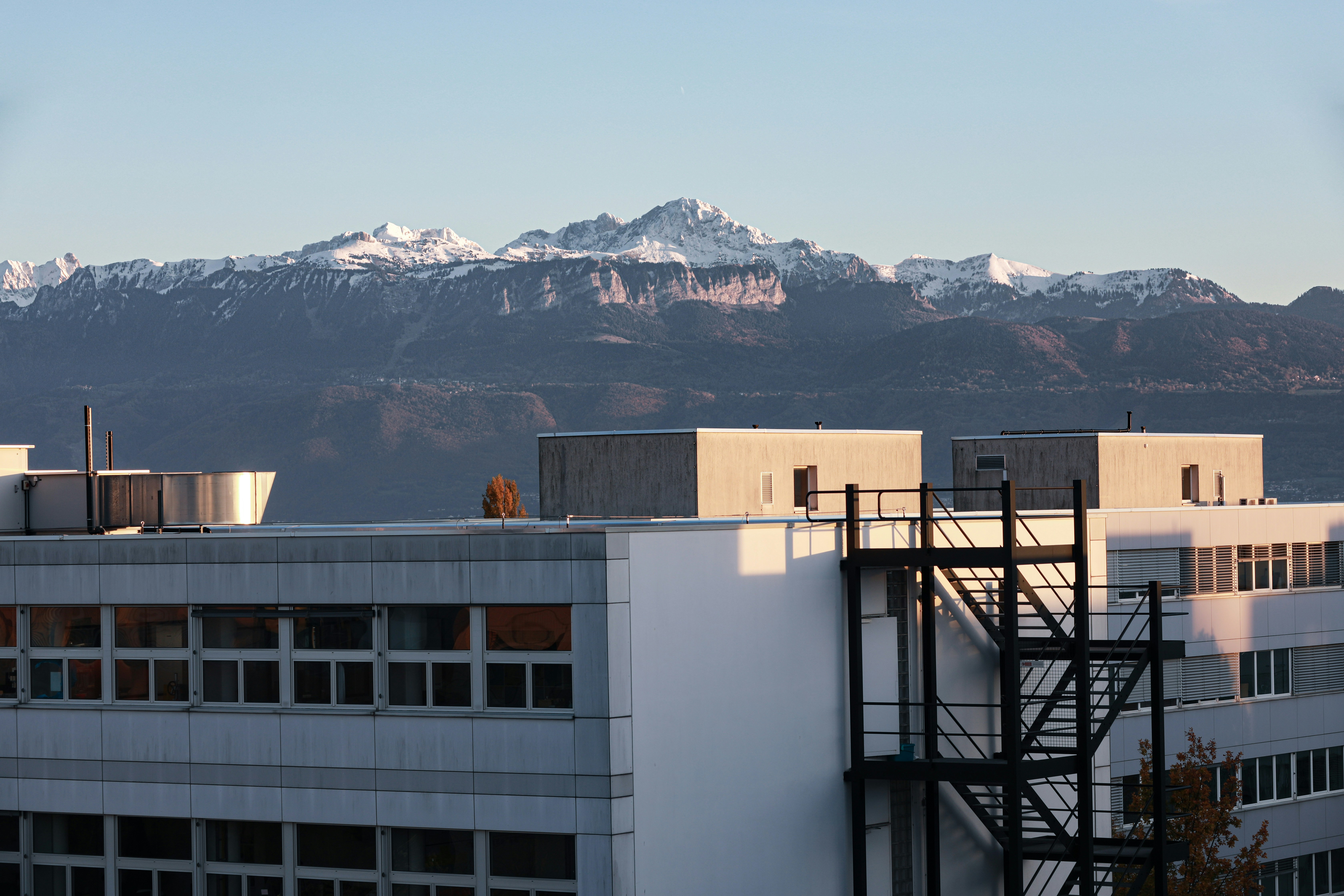 Groupe de collègues en tenue business casual riant ensemble dans un parc moderne à Lausanne, ambiance corporate décontractée