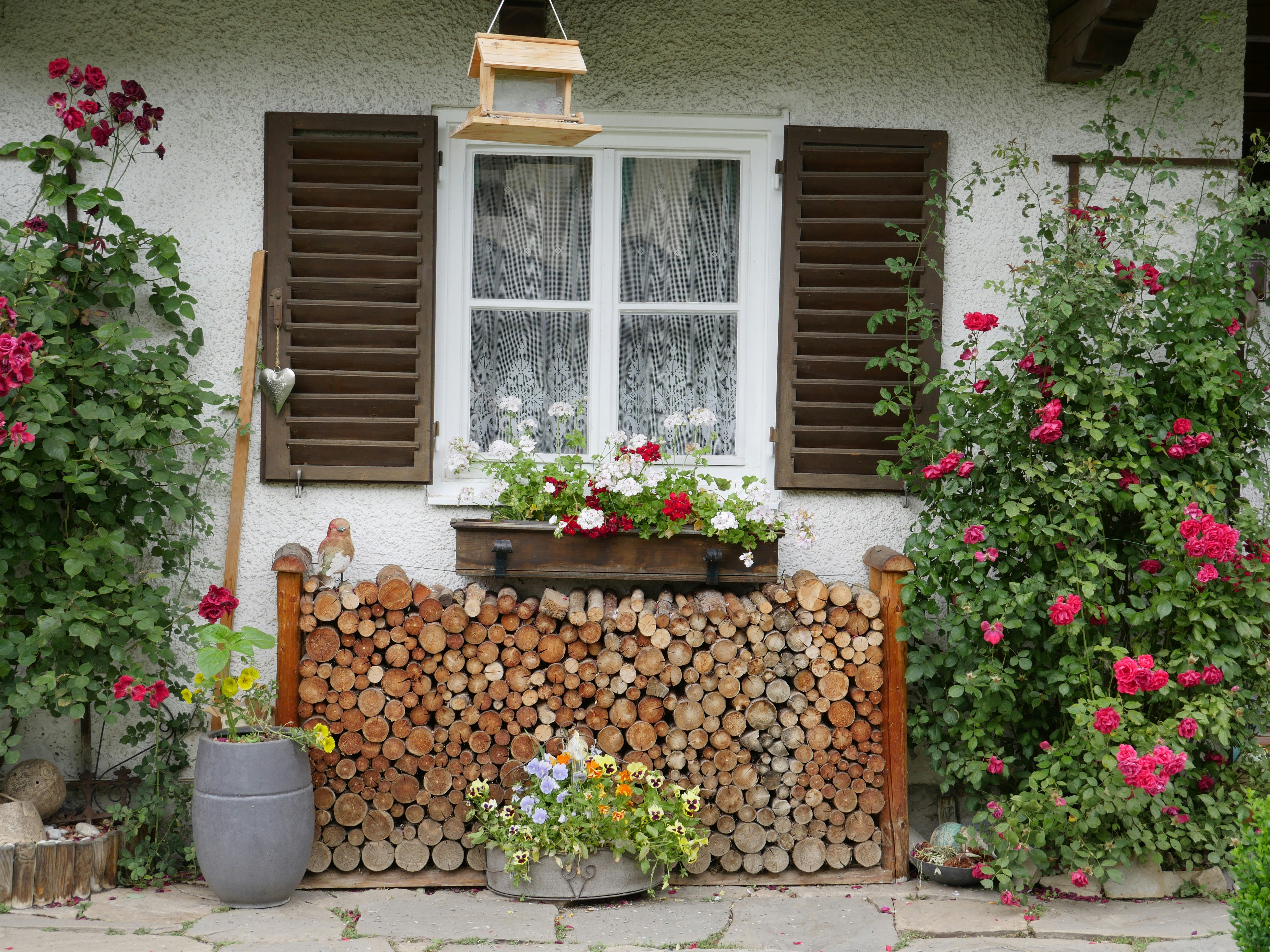 Close-up detail of blue-grey painted wooden texture on a shutter with sunlight shadows