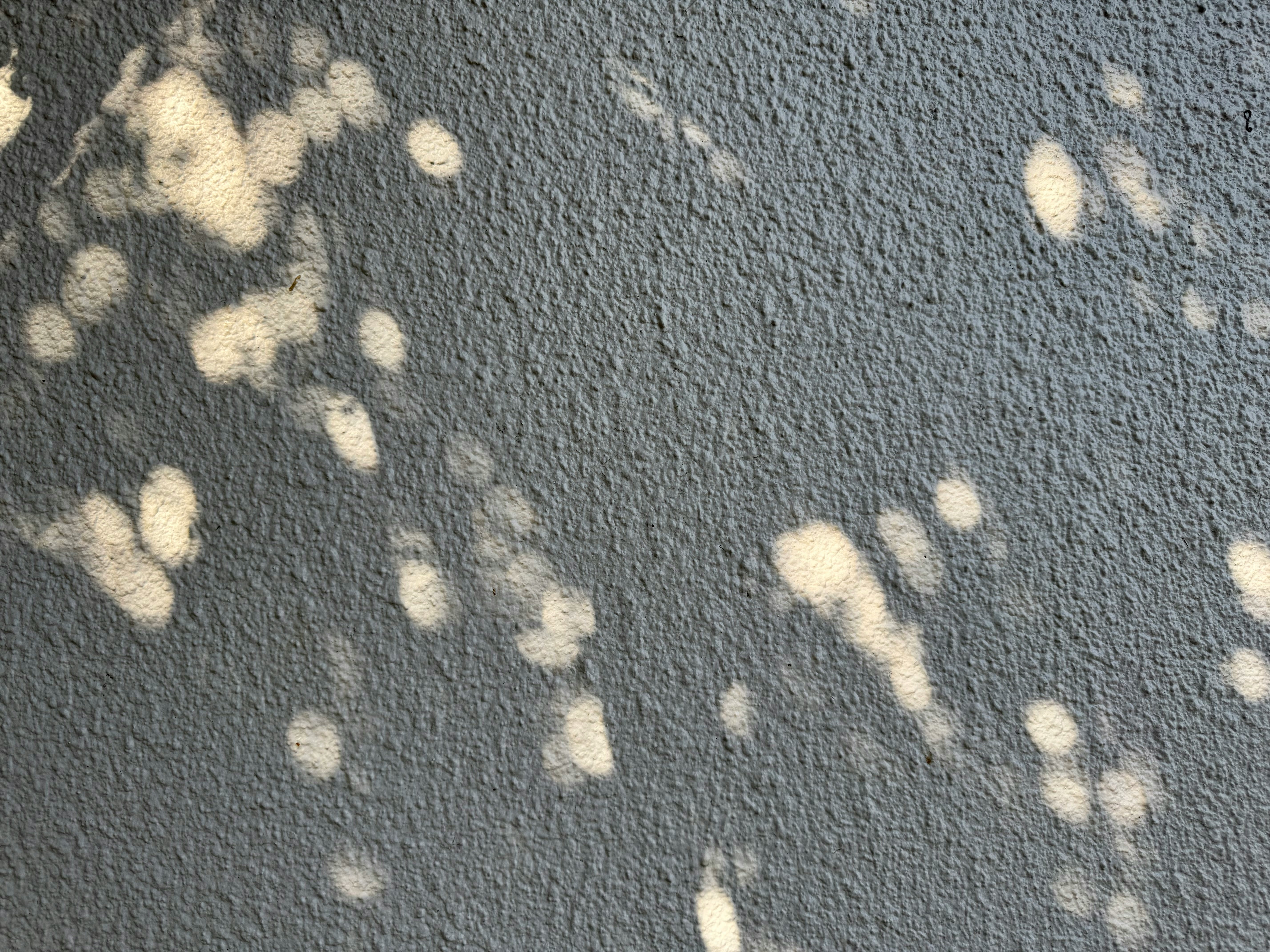 Close up of water damage on a plaster wall showcasing bubbling paint and humidity stains