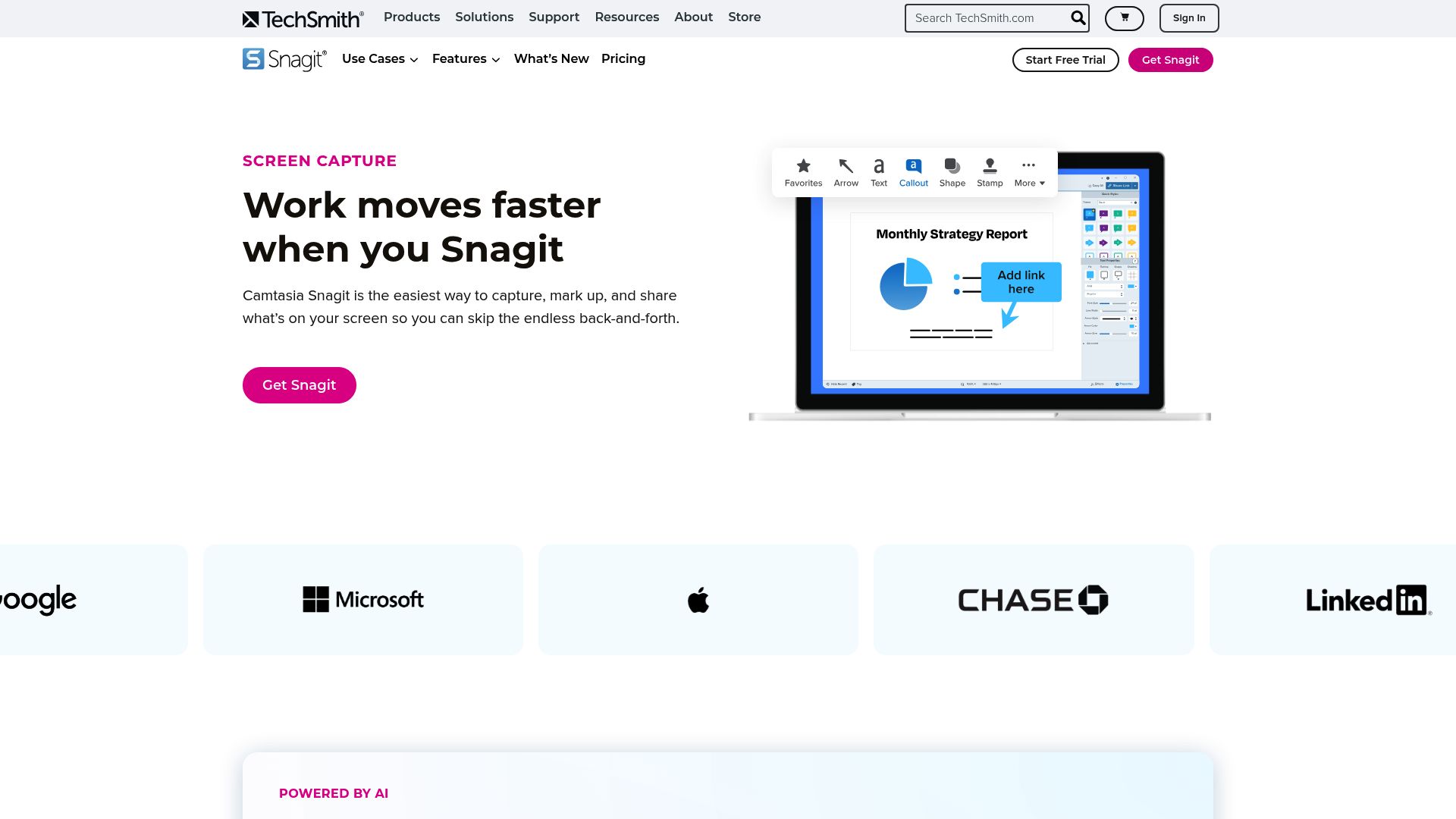 Capture d'écran de la page d'accueil du logiciel Snagit, mettant en avant ses fonctionnalités professionnelles.