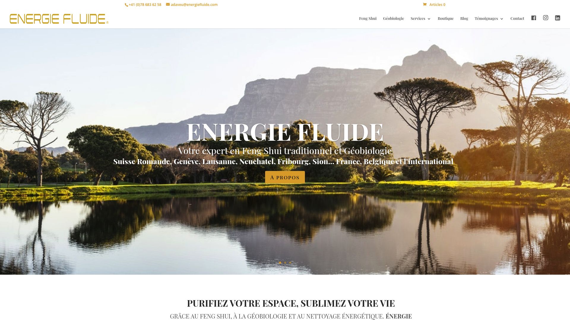 Screenshot of energiefluide.ch showing their cleaning package options and pricing structure