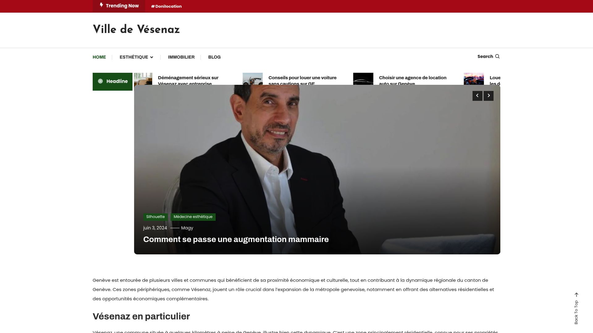 Homepage of vesenaz.com showing renovation advice articles