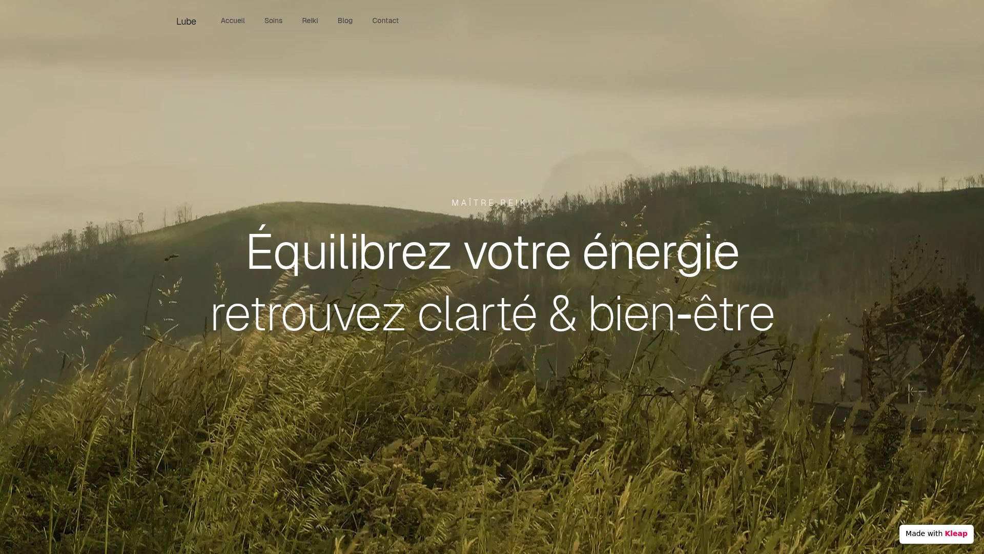 Screenshot of lubrication therapy wellness therapy list from lube-soins.ch showing variety of holistic treatments