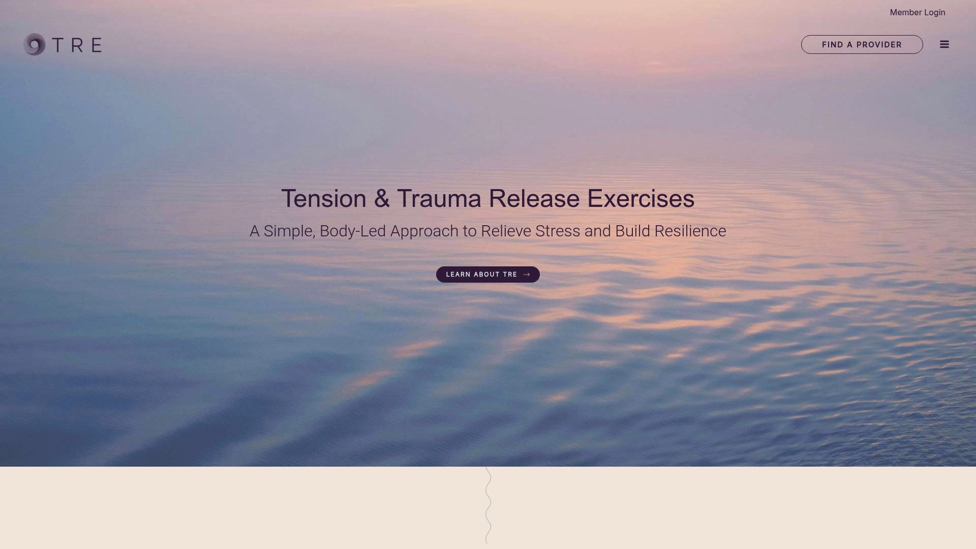 Screenshot of the Somatic Experiencing International website homepage explaining the method
