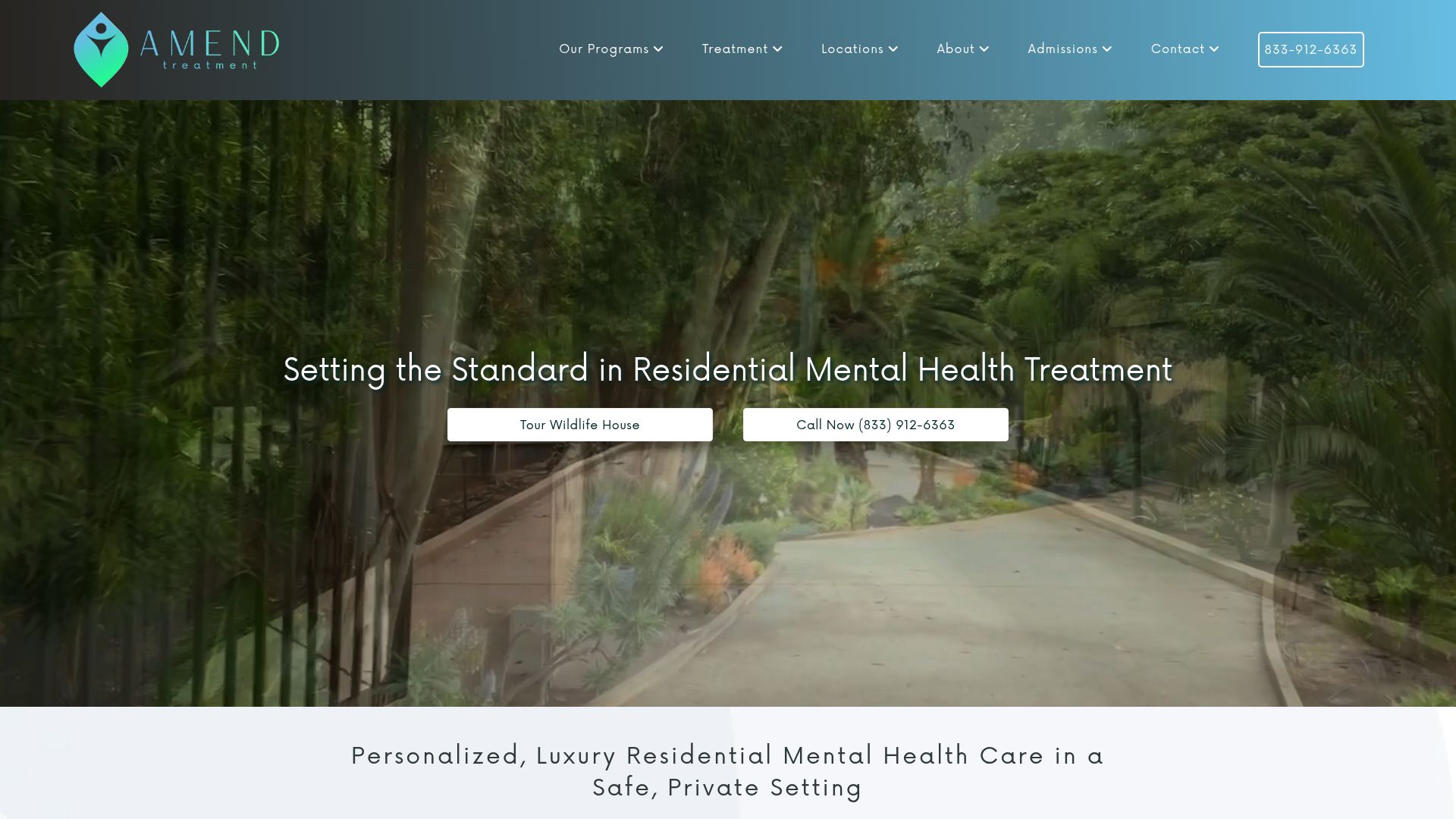 Screenshot of Amend Treatment website explaining SE therapy concepts