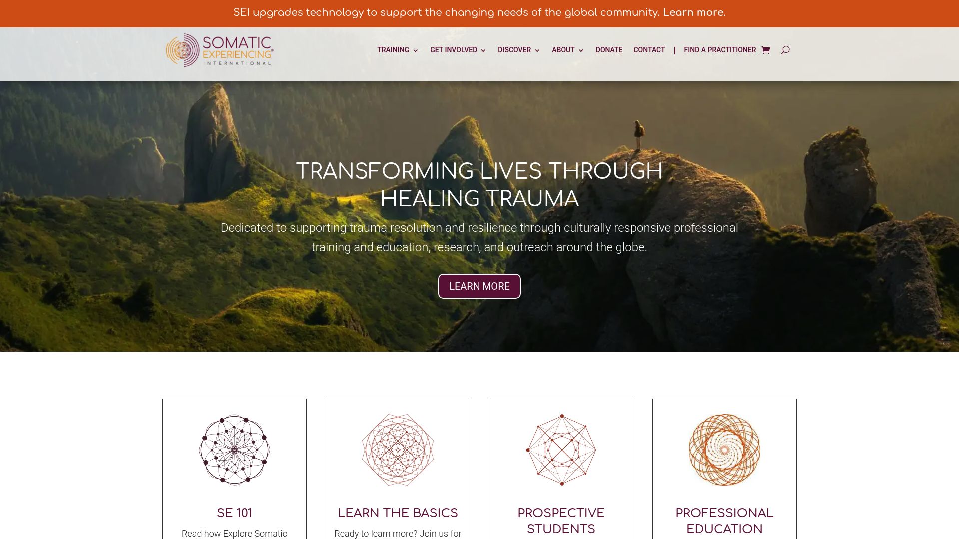 Screenshot of the Somatic Experiencing Trauma Institute website or a reputable French association page describing SE principles.